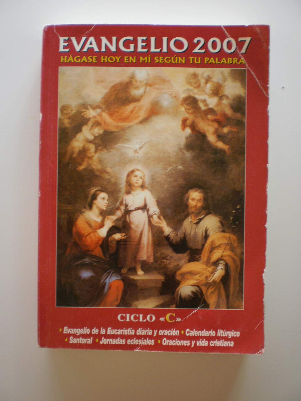 Evangelio 2007 (Letra Grande) (Libros Varios) Books