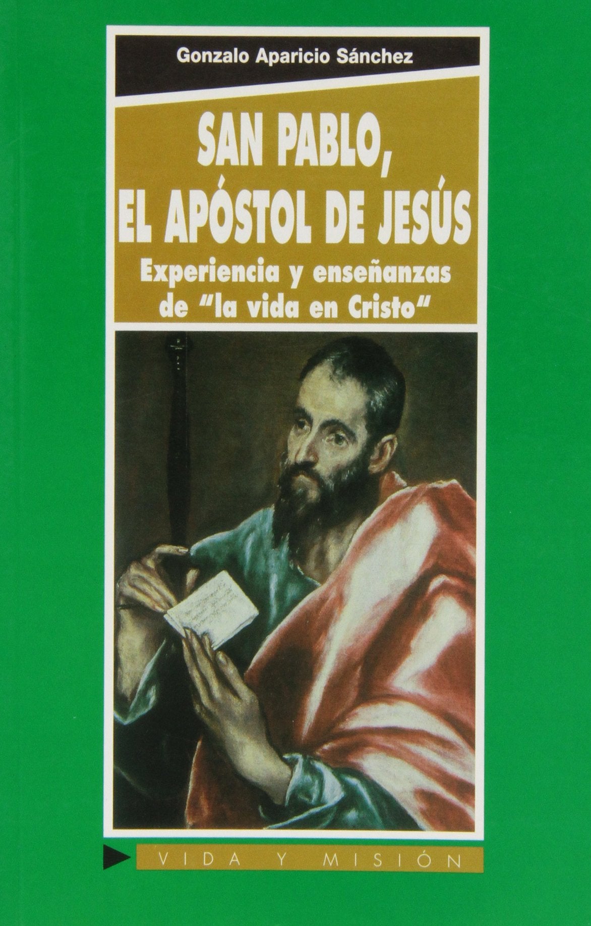 San Pablo, el apóstol de Jesús : experiencias y enseñanzas de la vida en Cristo book