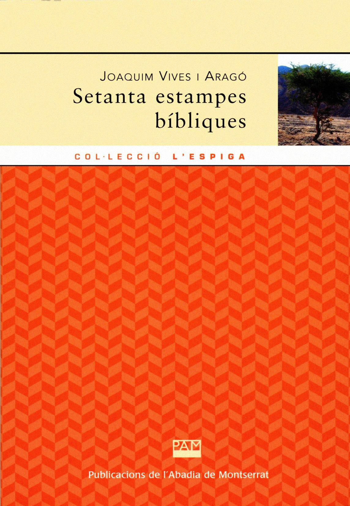 Setanta estampes bíbliques book
