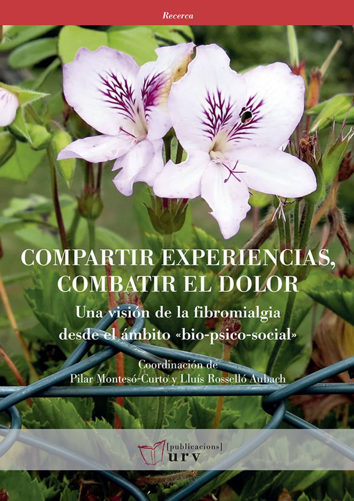 Compartir experiencias, combatir el dolor : una visión de la fibromialgia desde el ámbito "bio-psico-social" Medicine