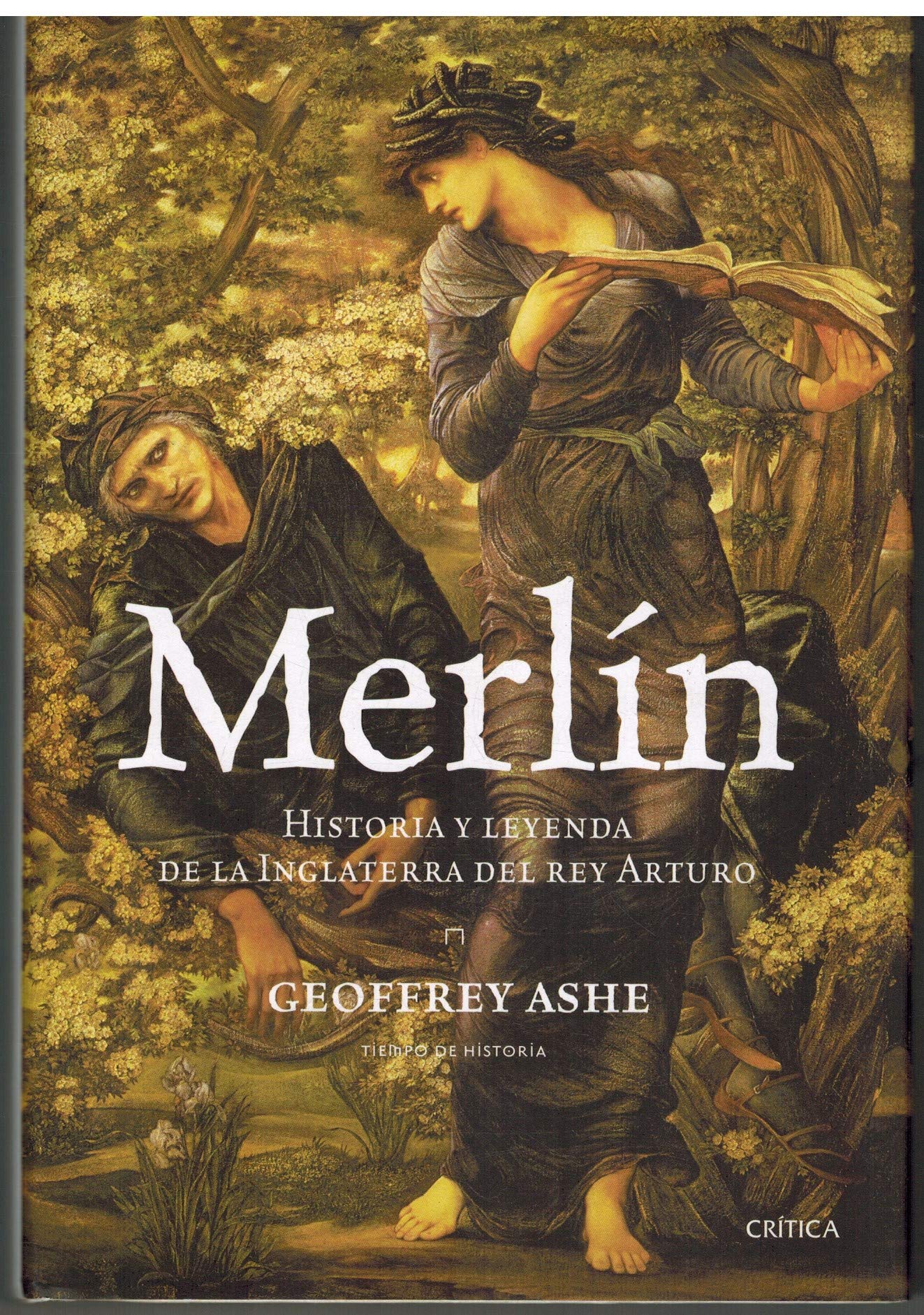 Merlín: Historia y leyenda de la Inglaterra del rey Arturo book