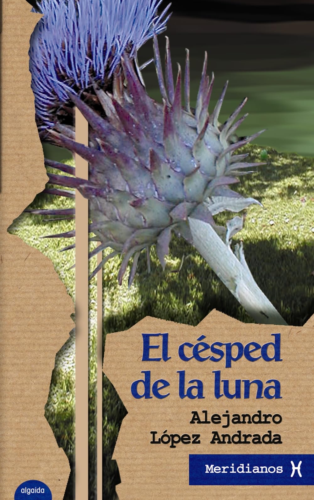 El césped de la luna / The lawn of the moon book