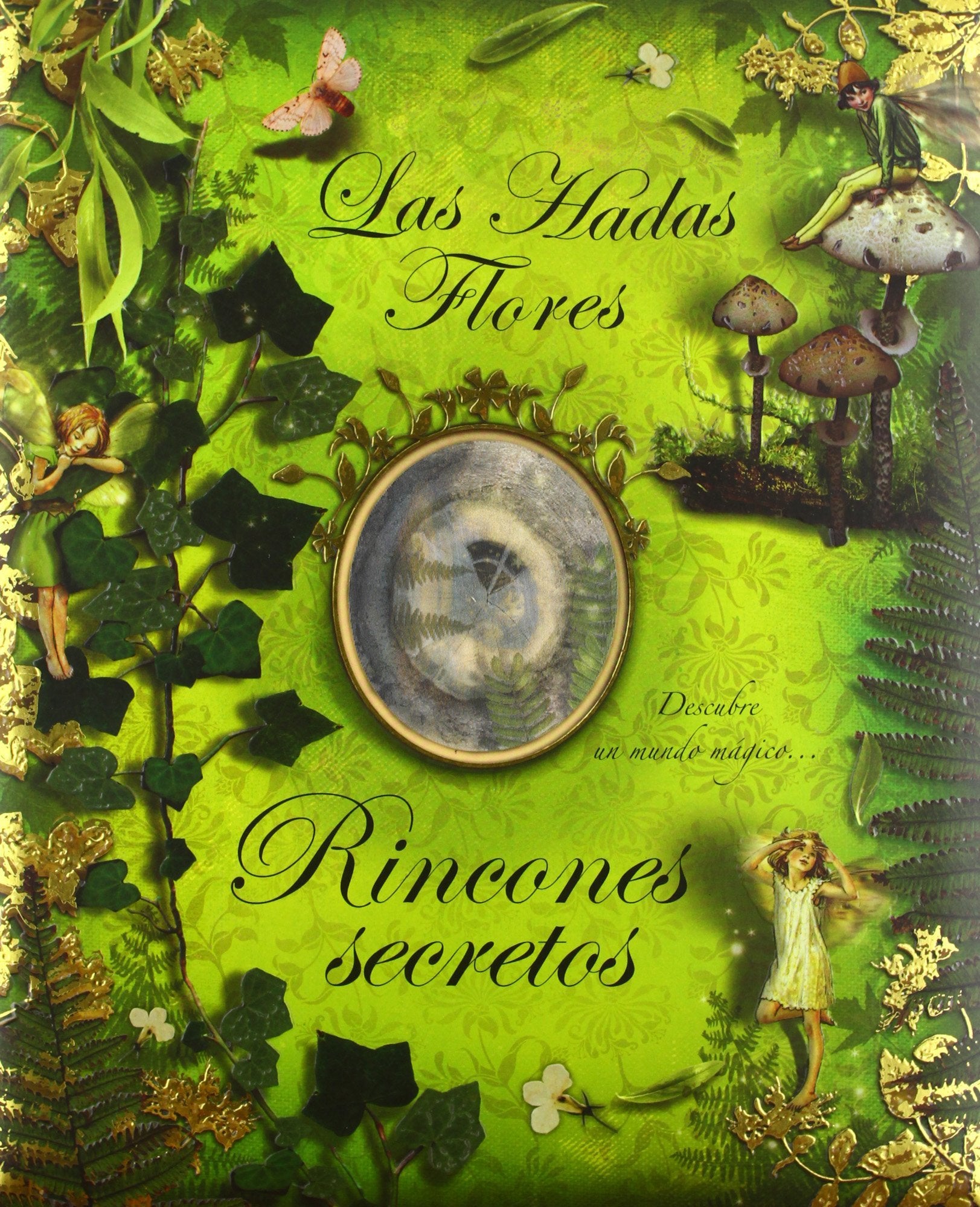 Rincones secretos/ How to Find Flower Fairies book
