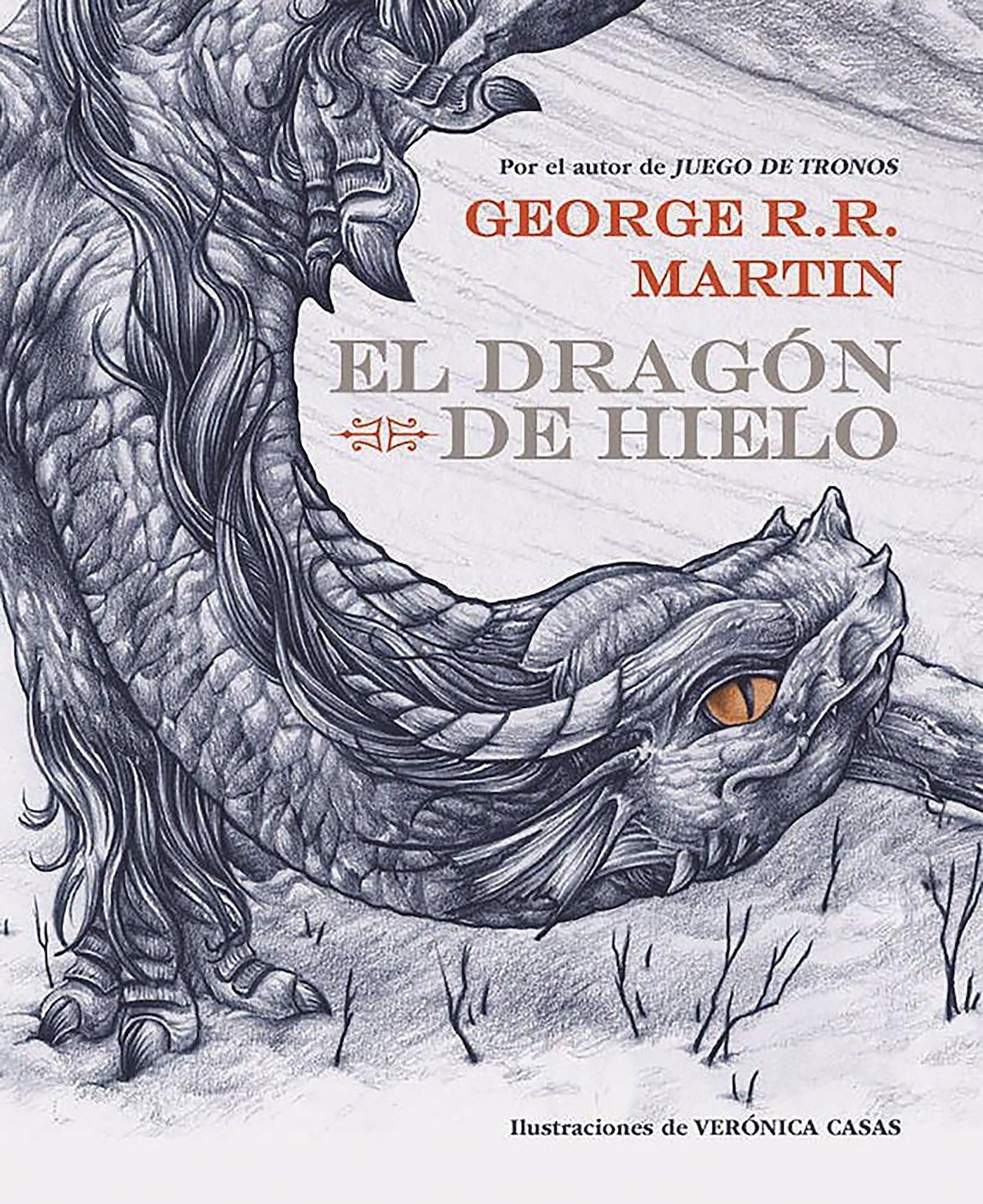 El dragón de hielo / The Ice Dragon book