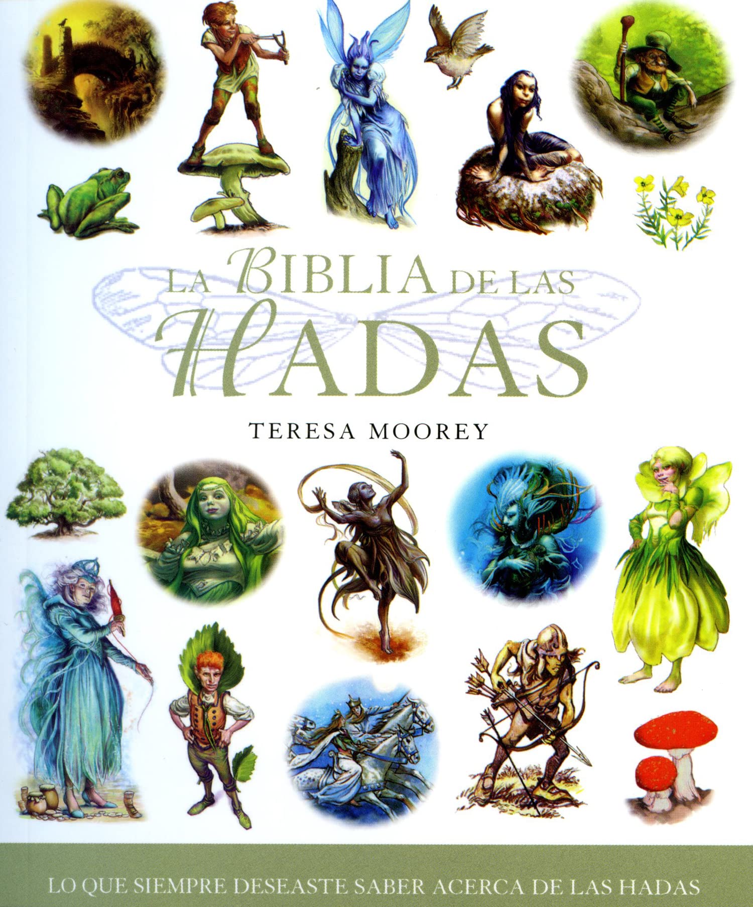 La biblia de las hadas / Fairies's Bible book