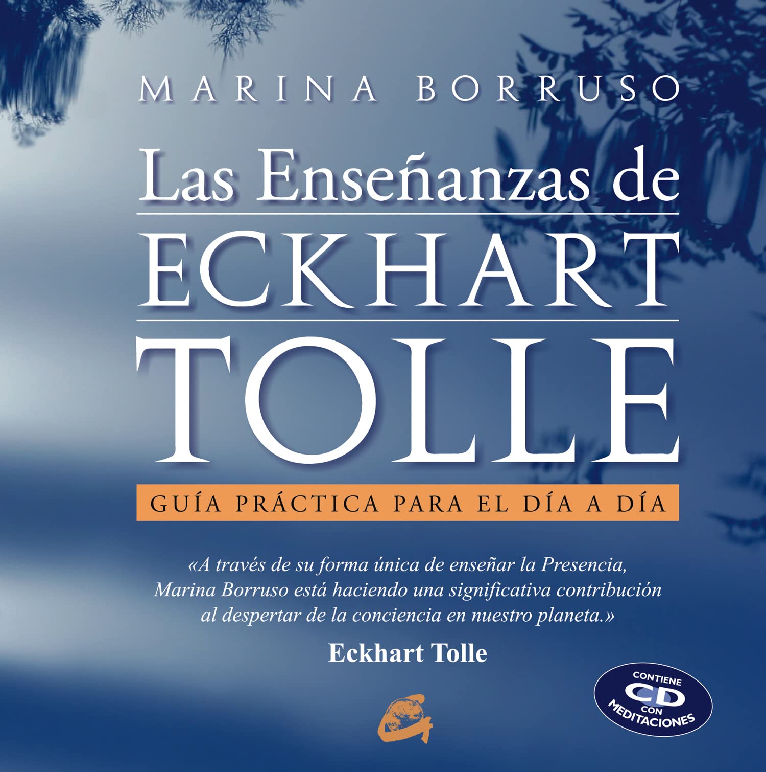 Las enseñanzas de Eckhart Tolle: Guía práctica para el día a día (Alfaomega) Religion & Esotericism