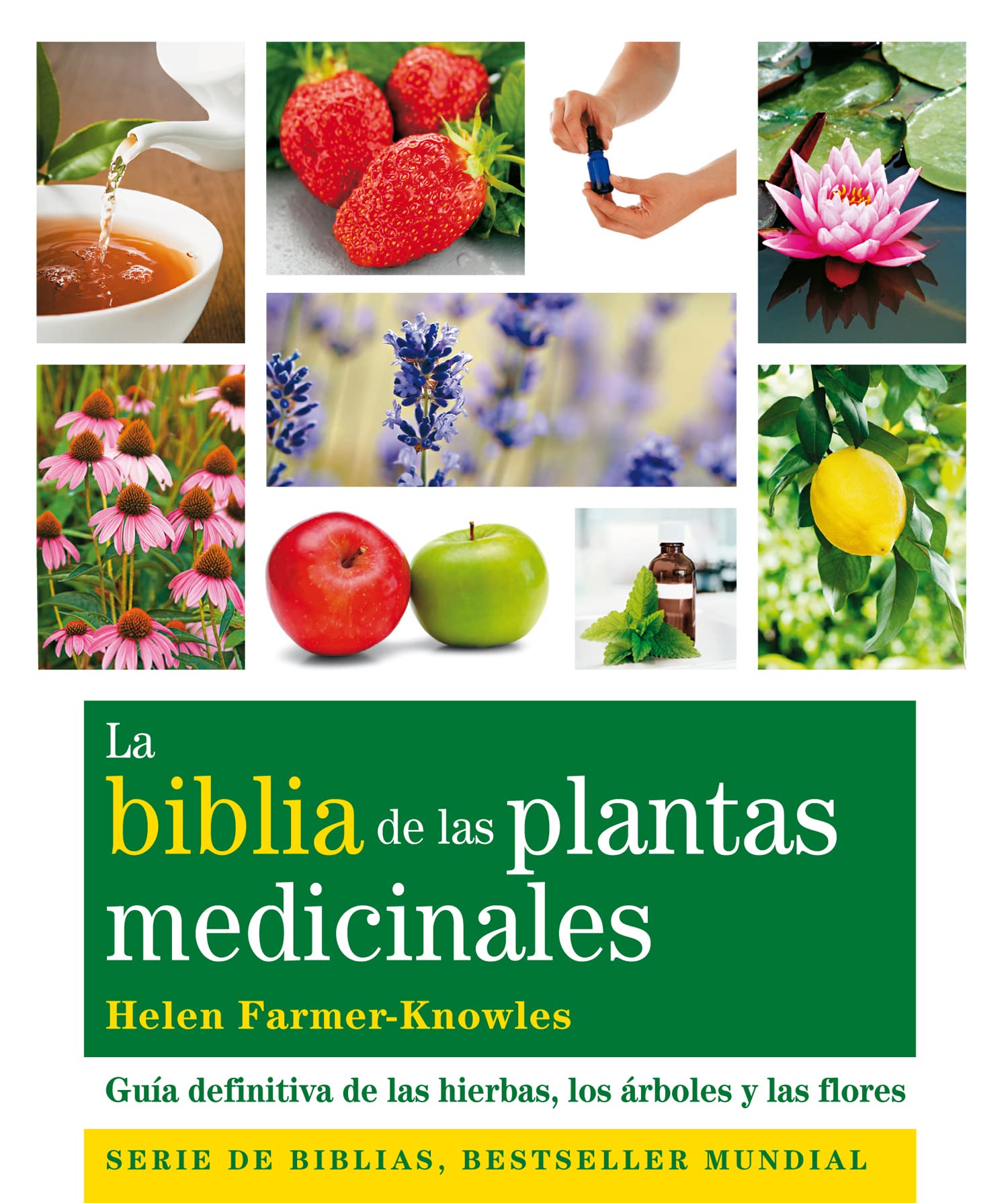 La biblia de las plantas medicinales: Guía definitiva de las hierbas, los árboles y las flores book
