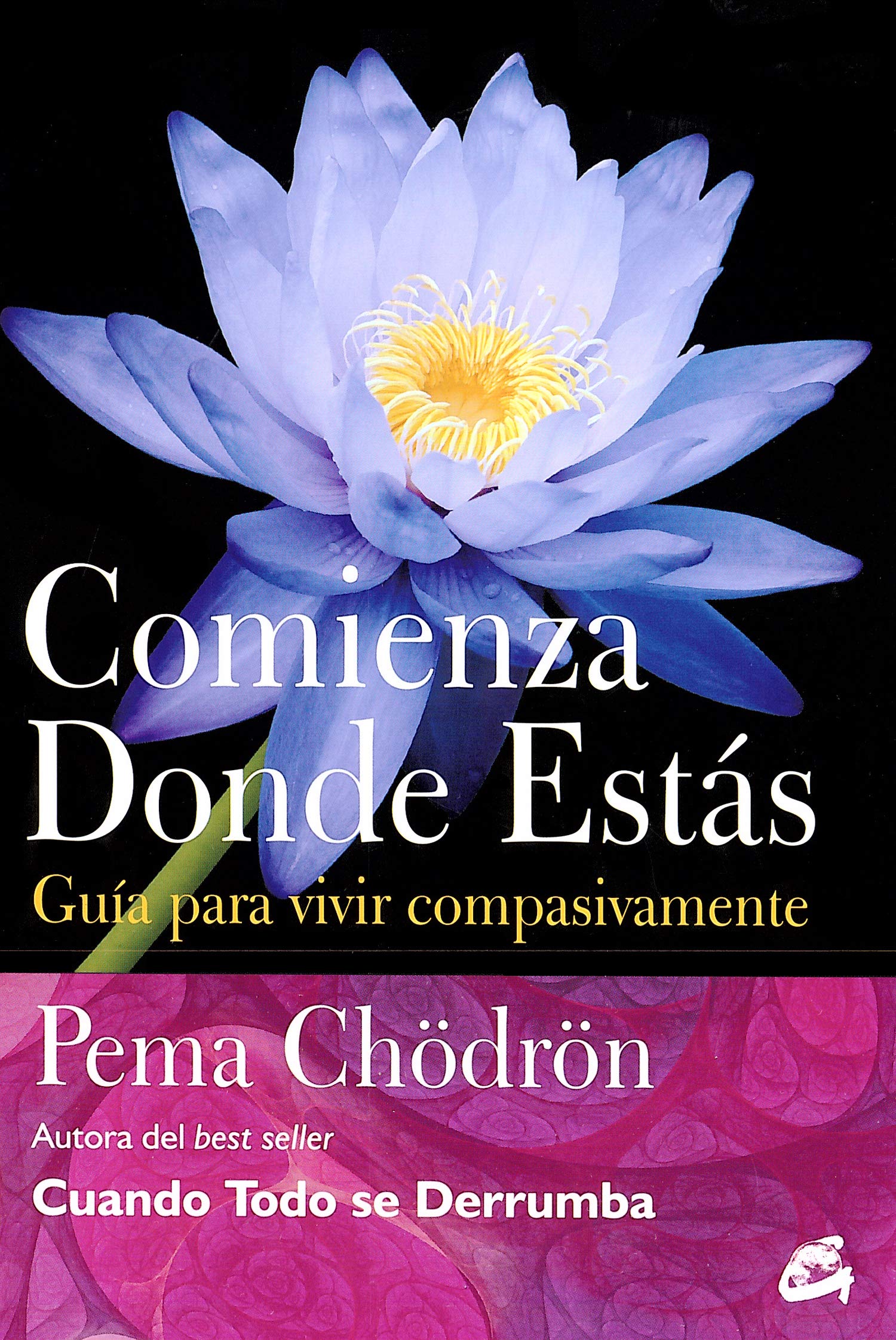Comienza donde estás: Guía para vivir compasivamente book