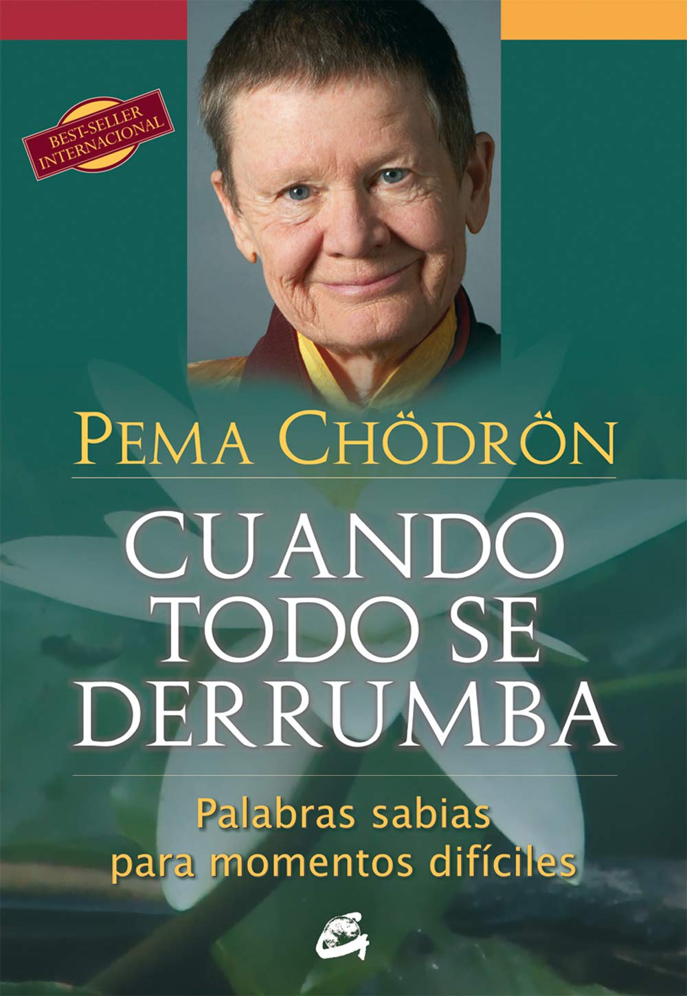 Cuando todo se derrumba: Palabras sabias para momentos difíciles book
