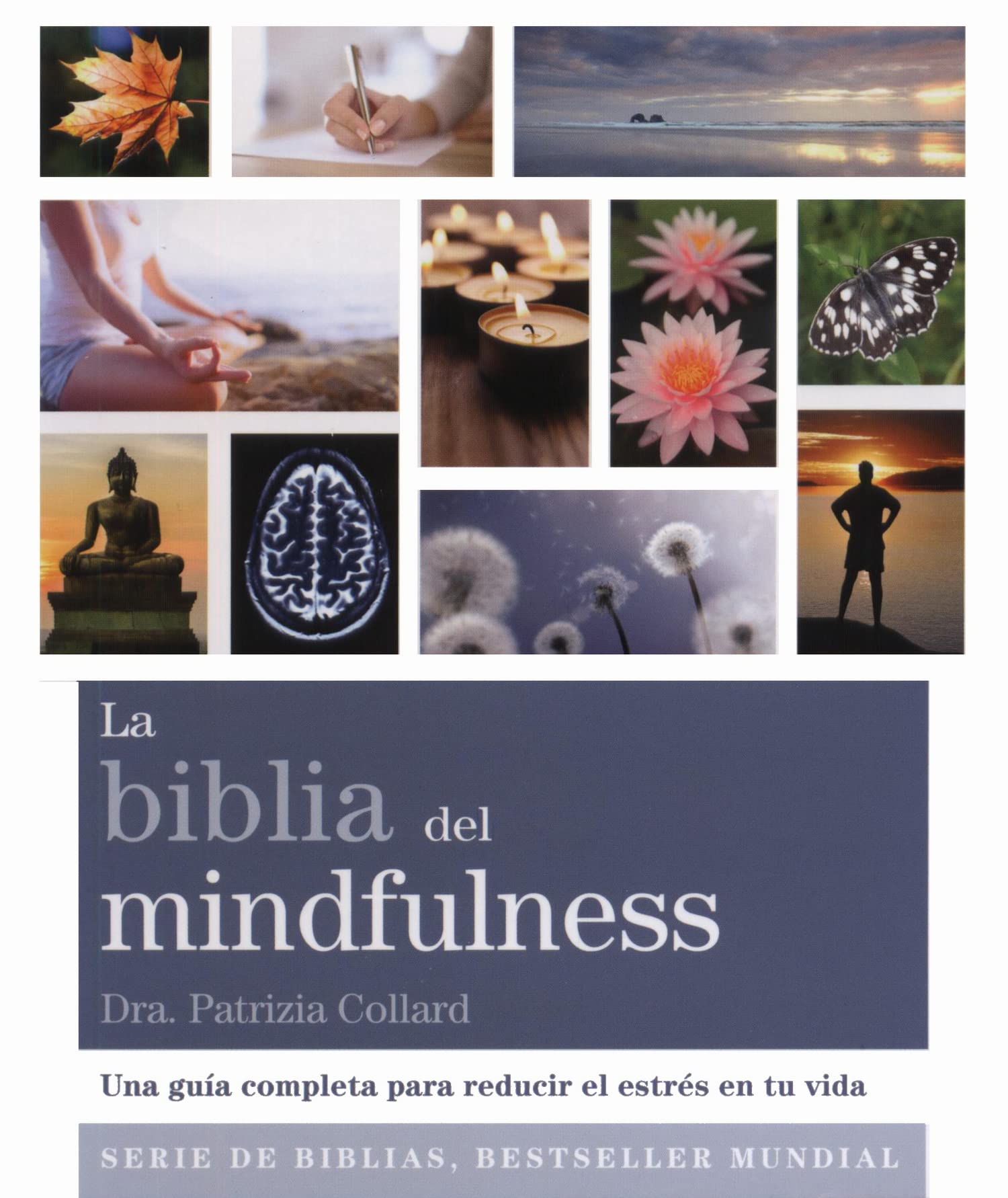La biblia del mindfulness : una guía completa para reducir el estrés en tu vida Social Sciences