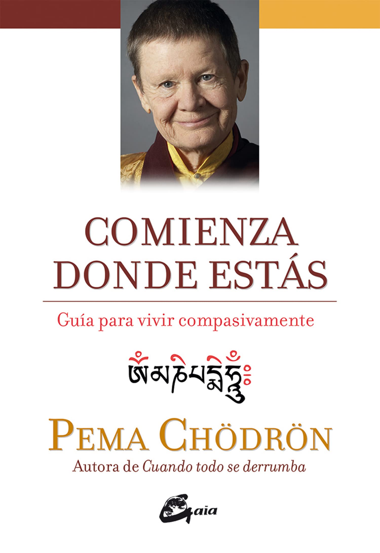 Comienza donde estás: Guía para vivir compasivamente book