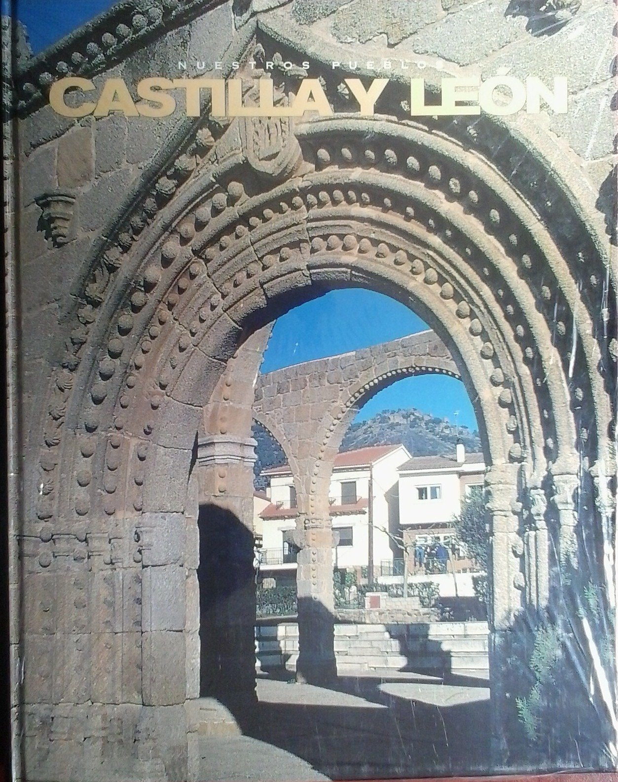 Enciclopedia nuestros pueblos: Castilla y León Books