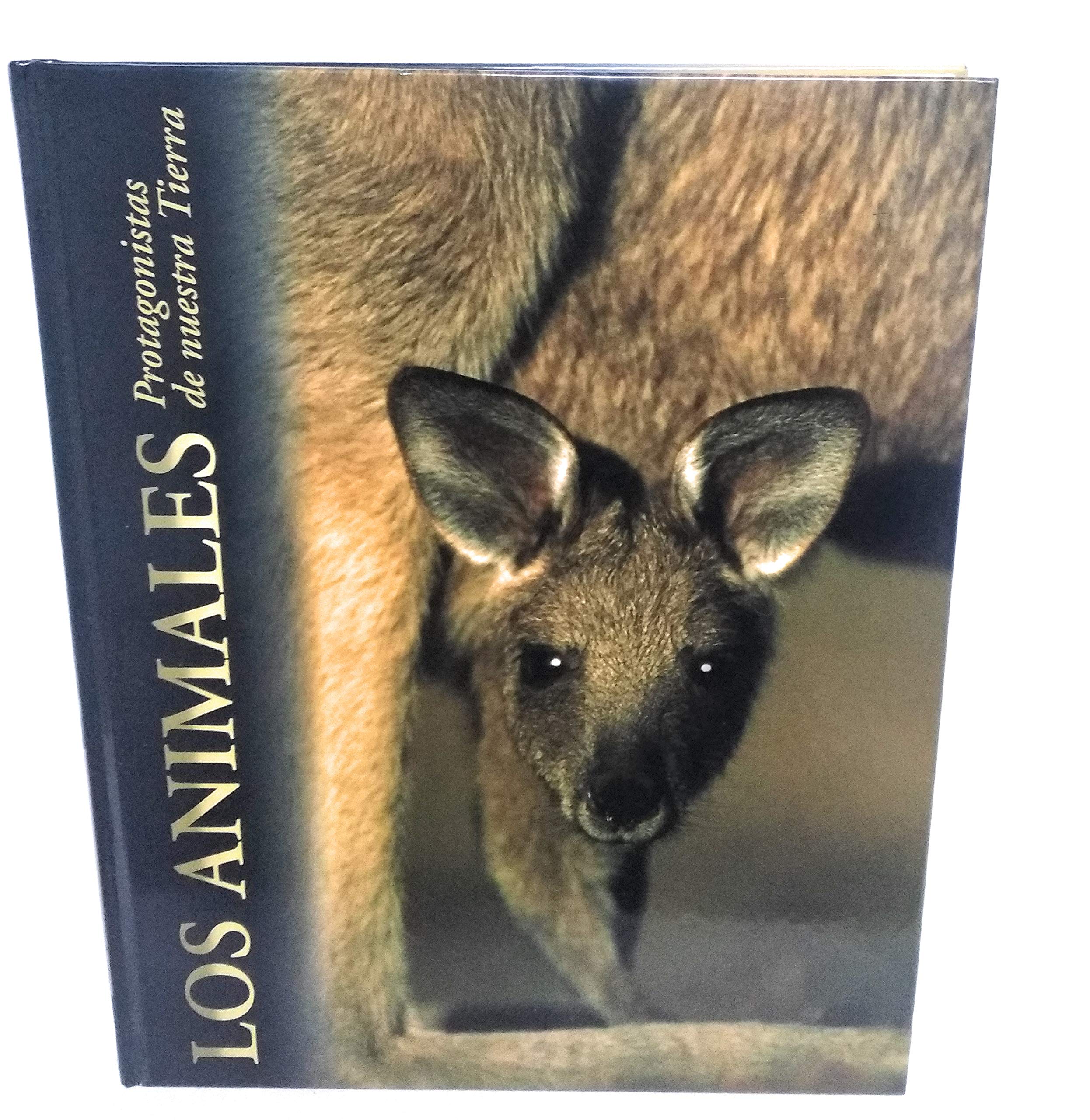 Los animales, protagonistas de nuestra tierra book