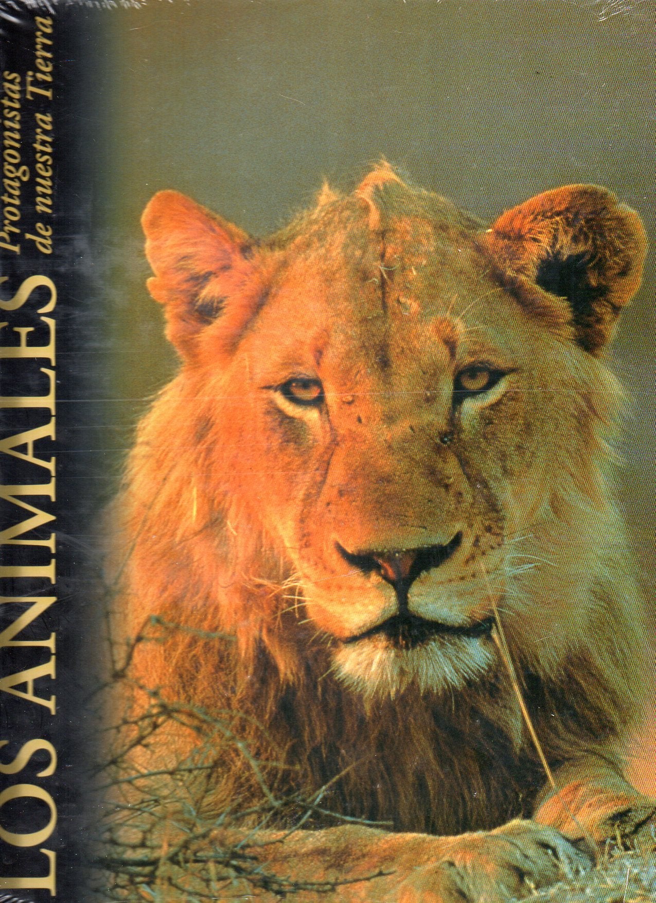 Los animales, protagonistas de nuestra tierra: La sabana Books