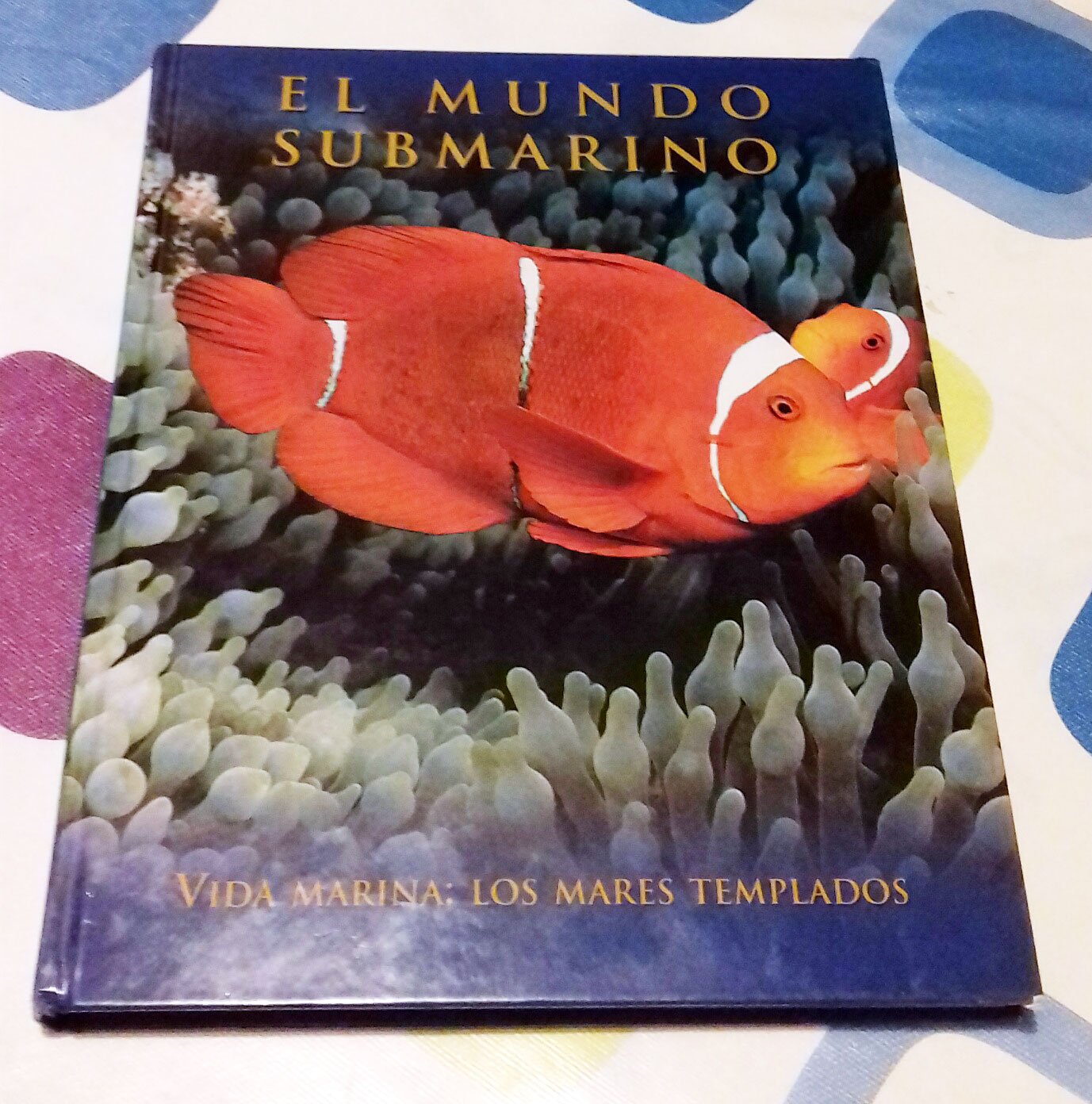 Enciclopedia Mundo Submarino: Vida marina: los mares templados Books