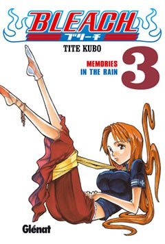 Bleach 3: Memories in the Rain book