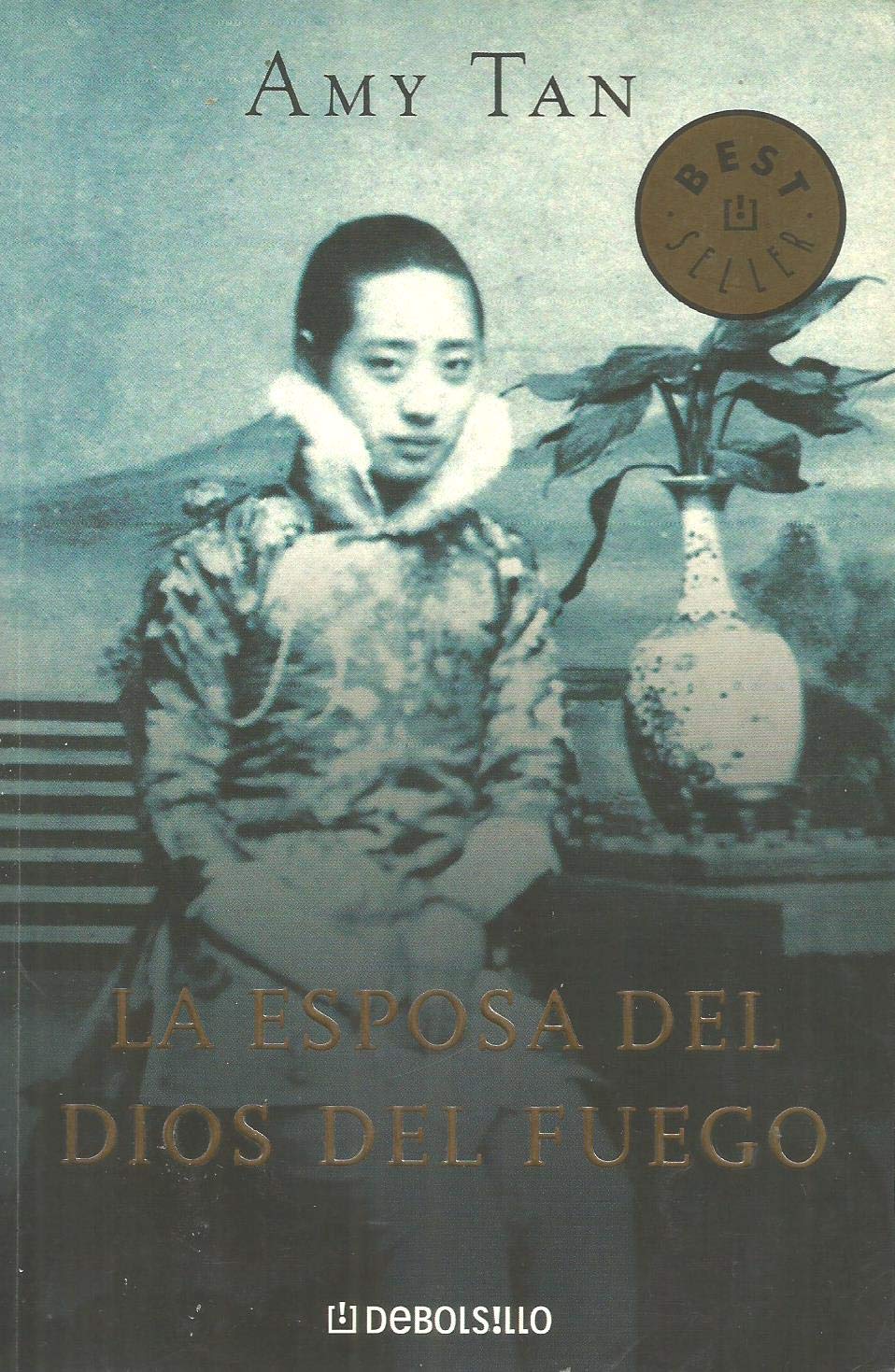 La Esposa Del Dios Del Fuego/ the Kitchen God's Wife book