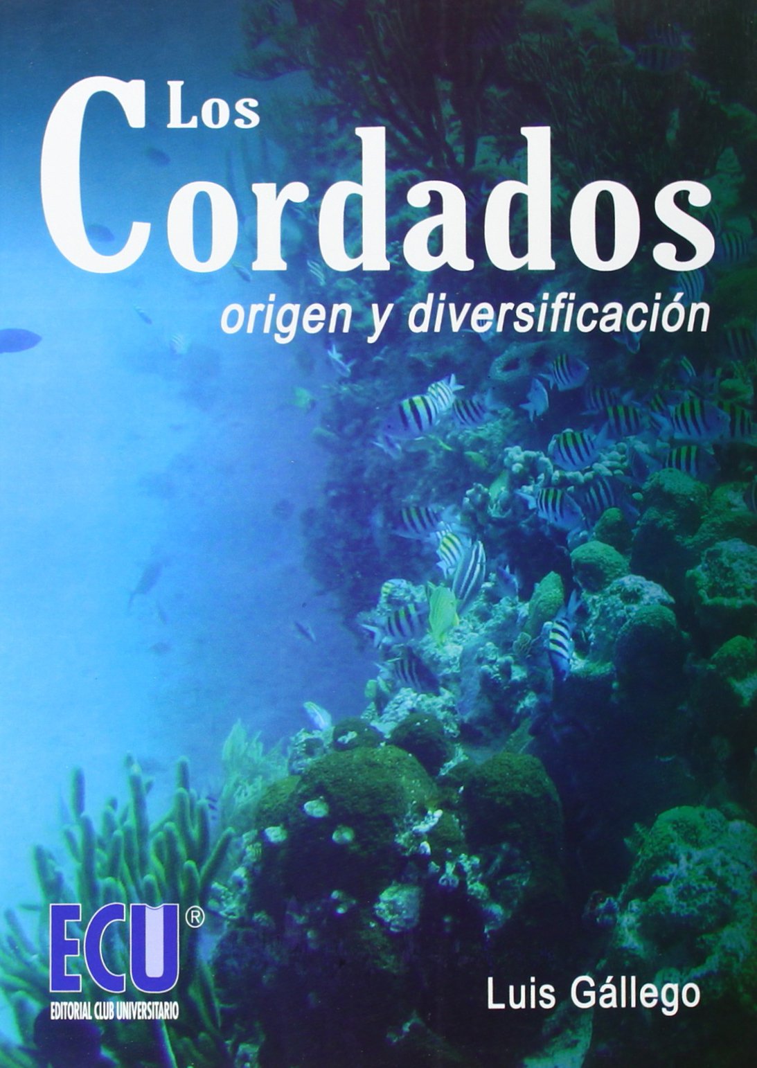 Los cordados. Origen y diversificación book