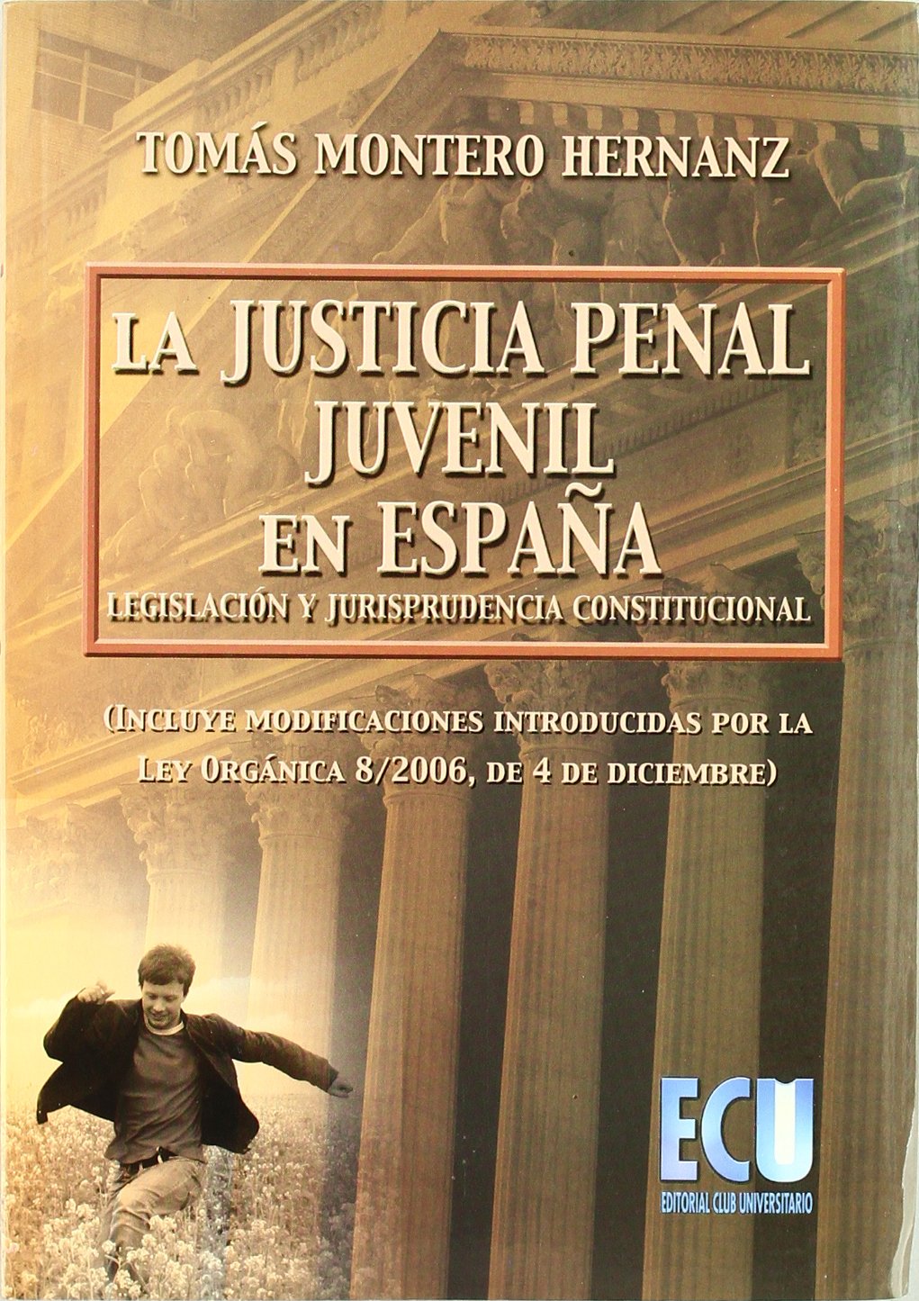 La justicia penal juvenil en España : legislación y jurisprudencia constitucional book