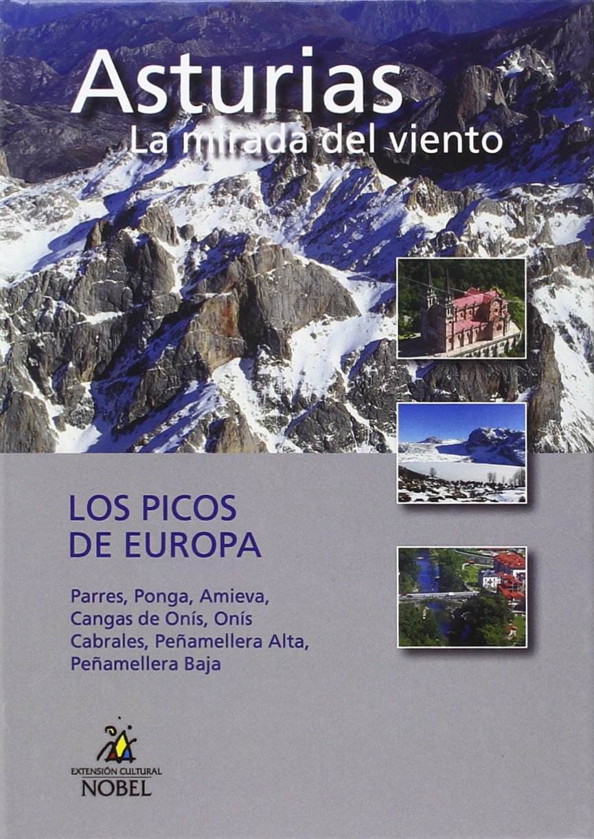 Sanz Ovies, M: Picos de Europa Business, Finance & Career