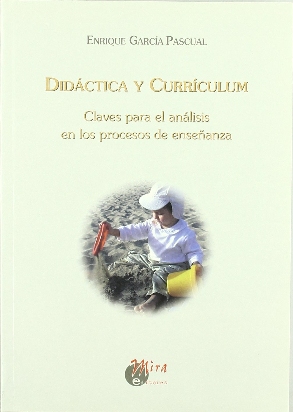 Didáctica y currículum : claves para el análisis en los procesos de enseñanza book