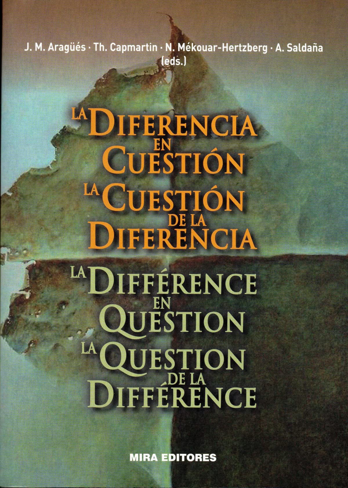 La diferencia en cuestión: La cuestión de la diferencia book