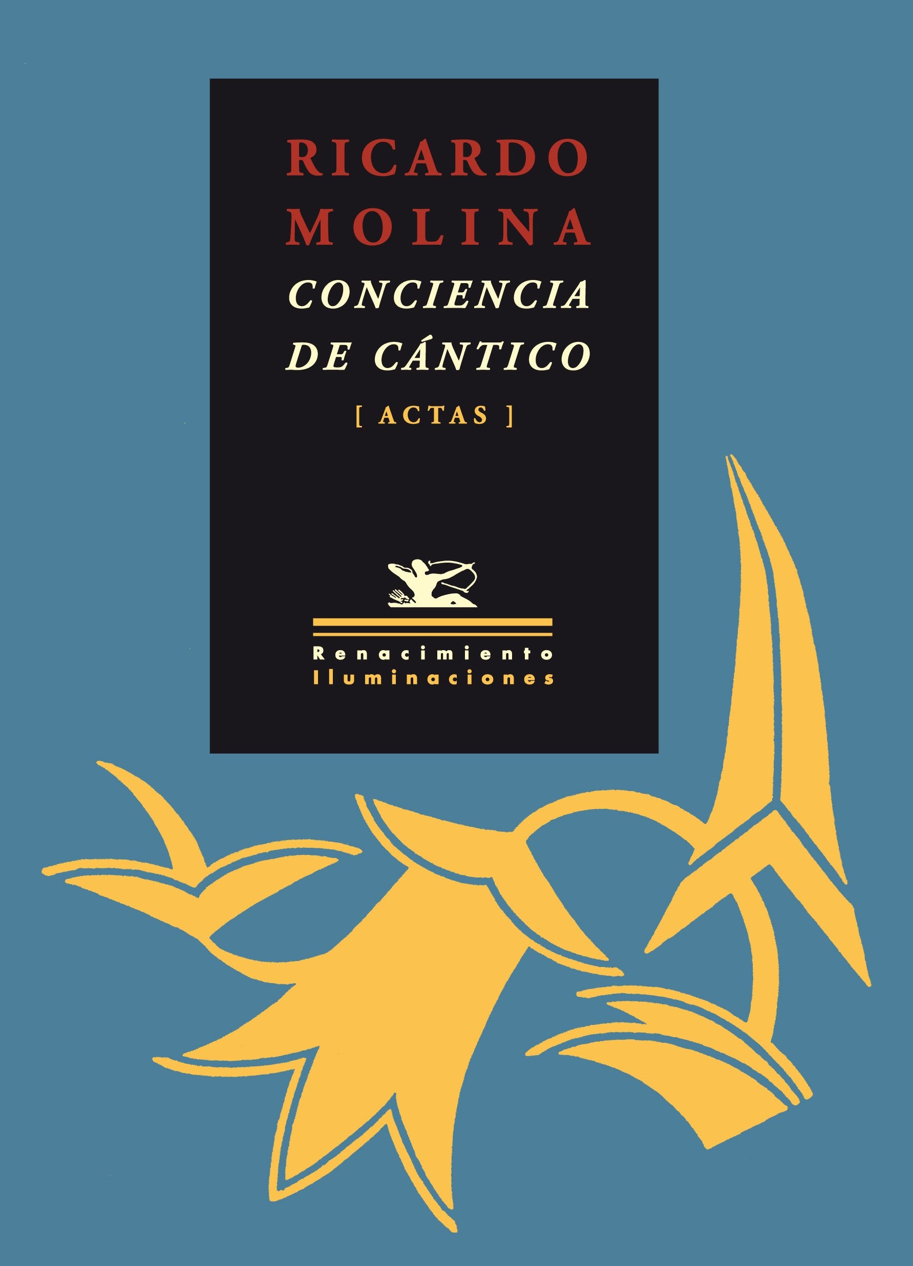 Ricardo Molina: conciencia de Cántico: Actas de las jornadas literarias de homenaje a Ricardo Molina (Iluminaciones, Band 41) Books