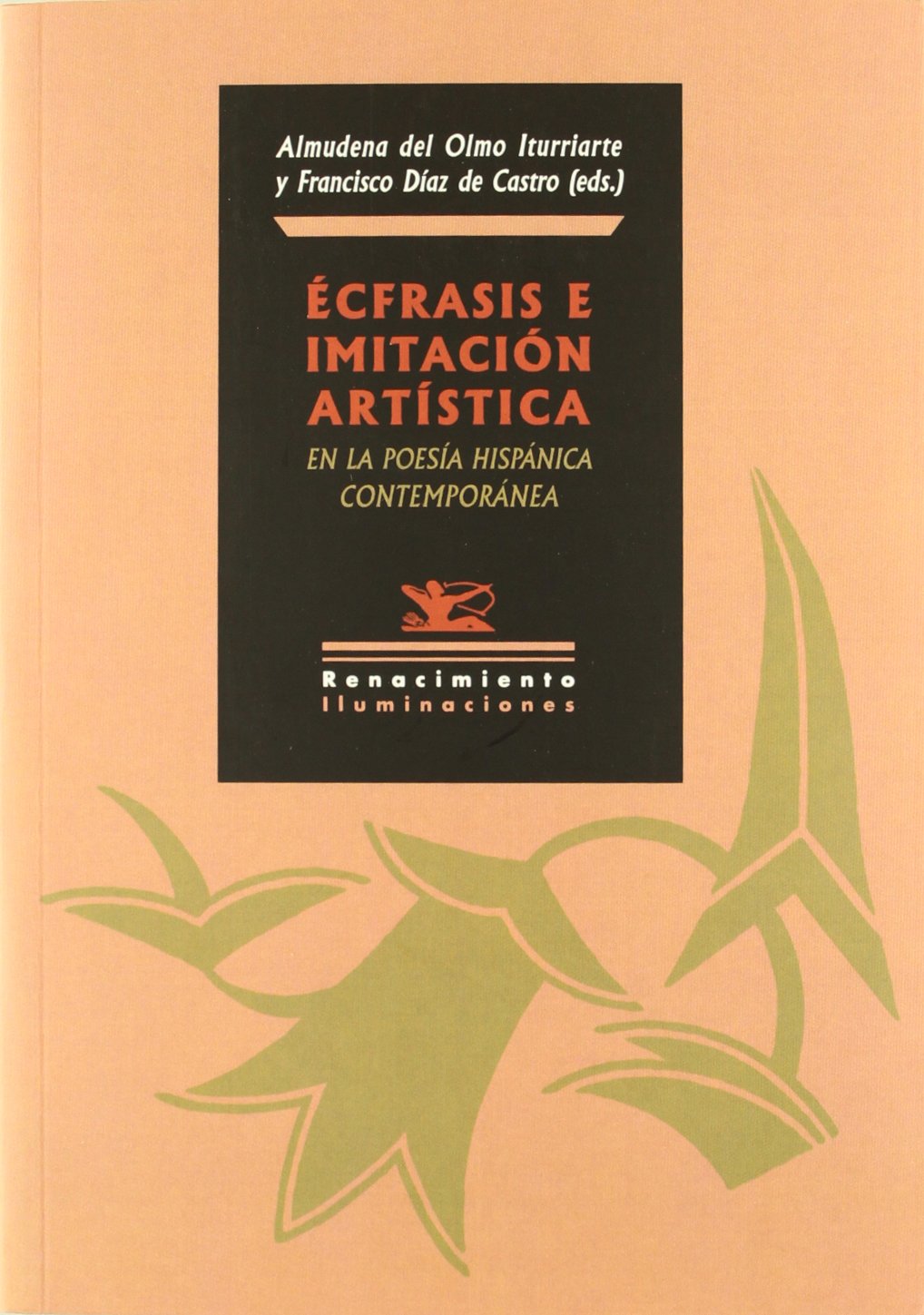 Écfrasis e imitación artística en la poesía hispánica contemporánea : diez propuestas (Iluminaciones, Band 75) Social Sciences
