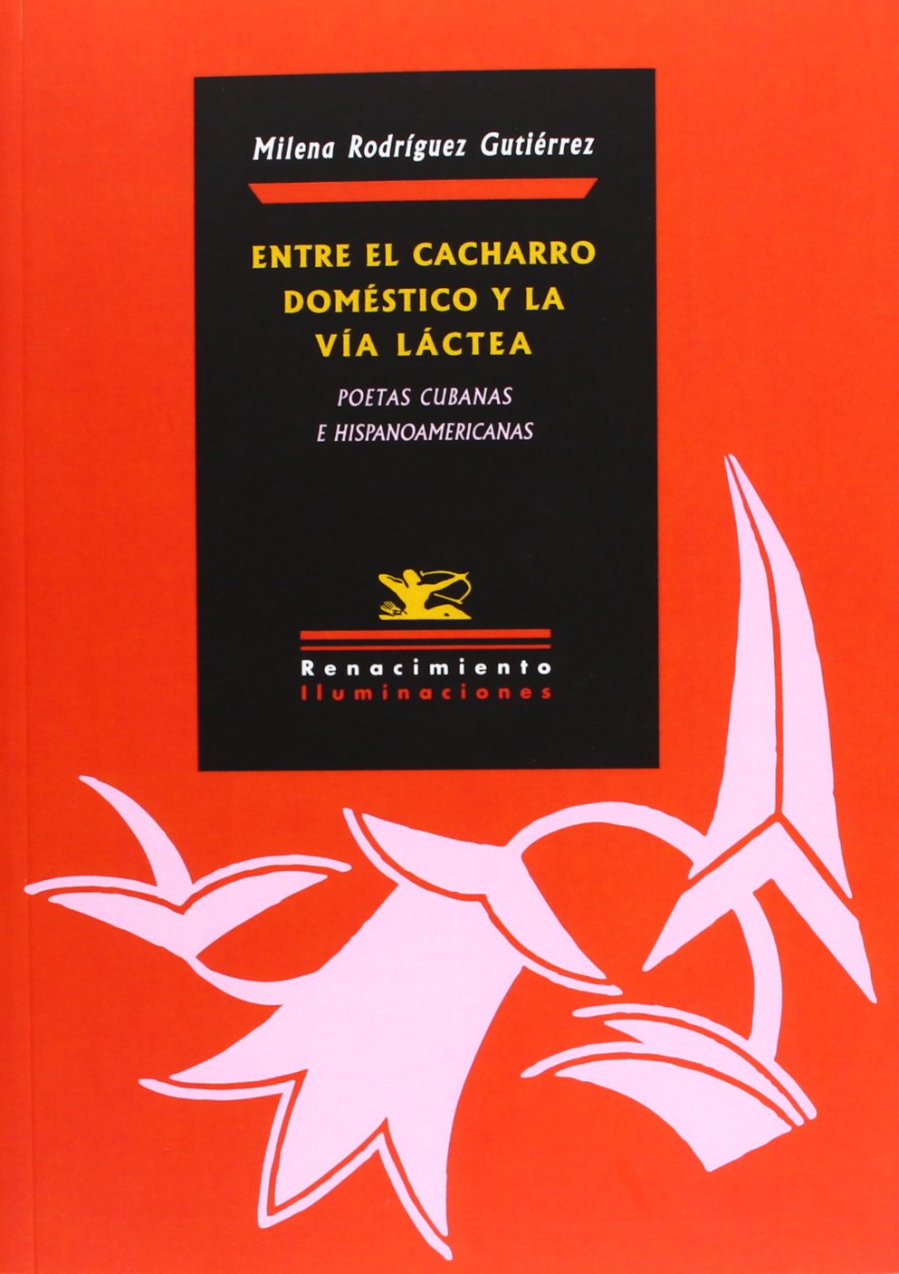 Entre el cacharro doméstico y la Vía Láctea : poetas cubanas e hispanoamericanas (Iluminaciones, Band 77) Social Sciences