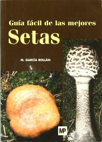 Guía fácil de las mejores setas Hobbies & Crafts