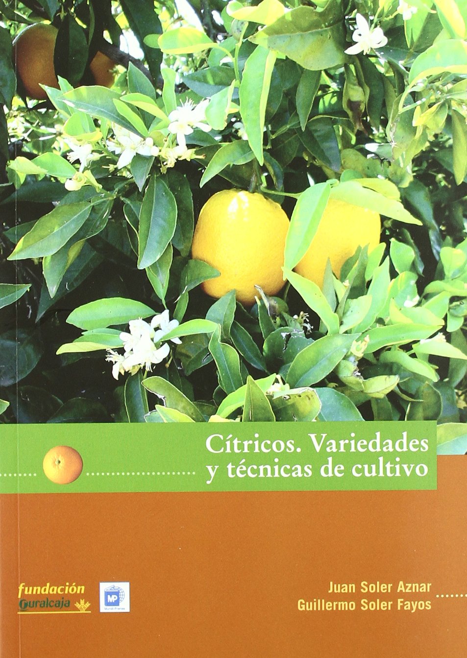 Cítricos: Variedades y técnicas de cultivo book