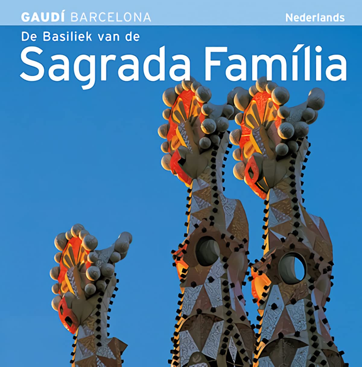 BASILICA DE LA SAGRADA FAMILIA (HOLANDES) Architecture