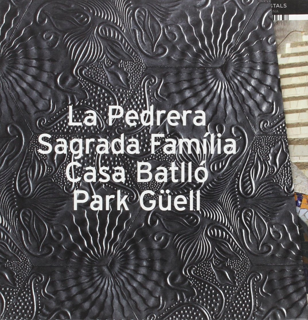 Gaudi - Coffret 4 Livres book