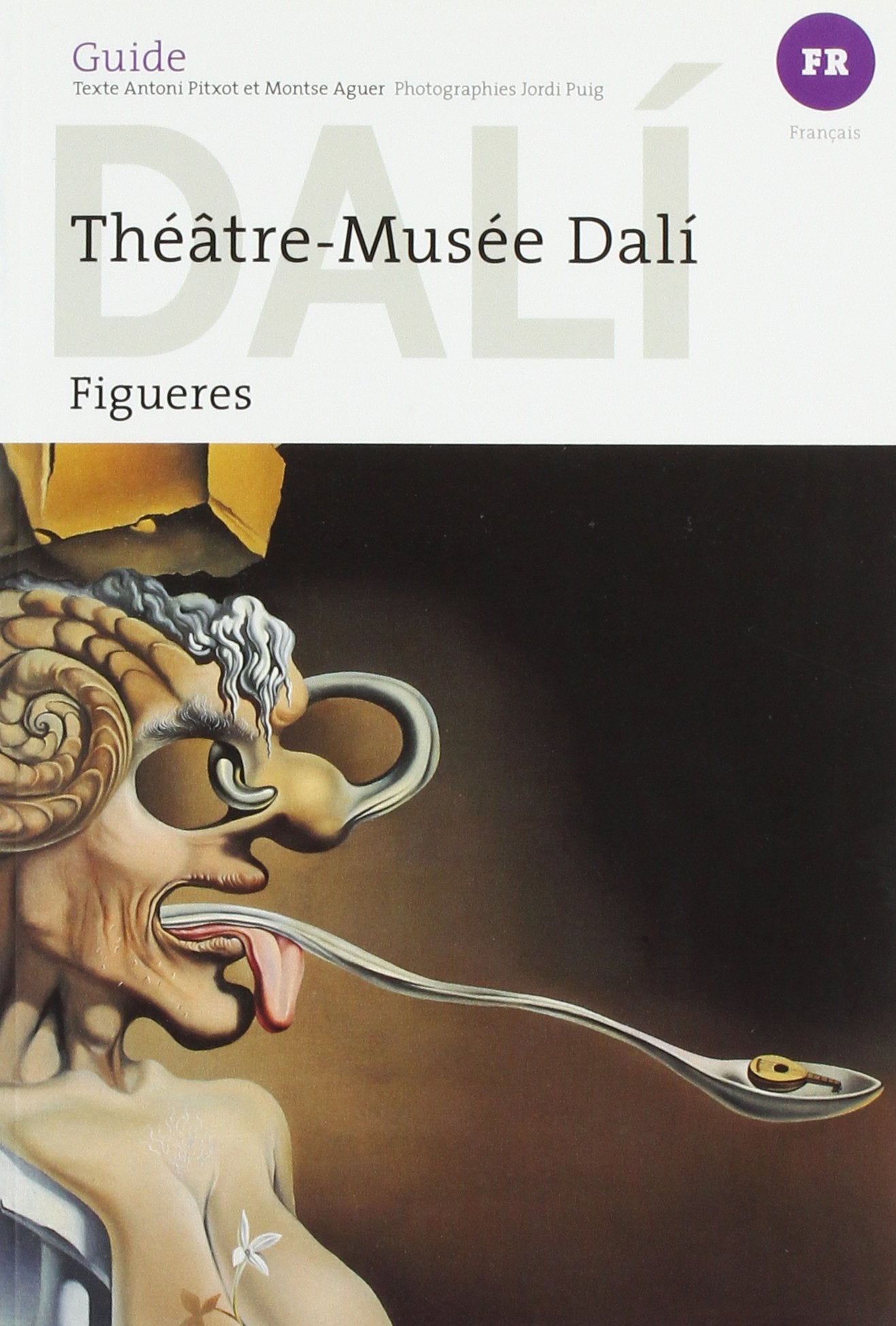 Dalí, guide du Teatre-Museu Dalí de Figueres: Teatre-Museu Dalí de Figueres (Guies) Architecture
