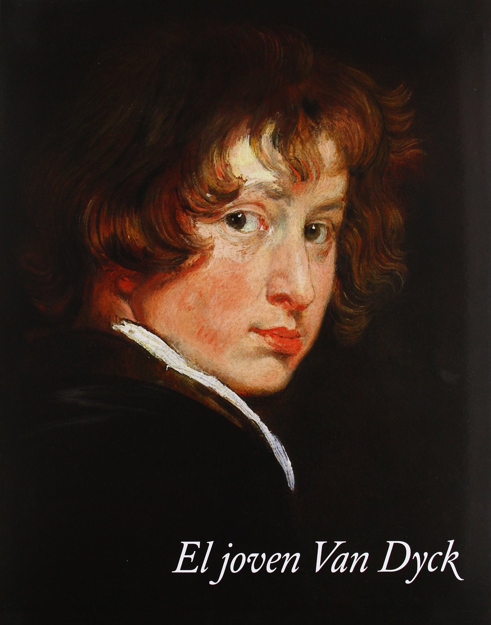 El joven Van Dyck Books