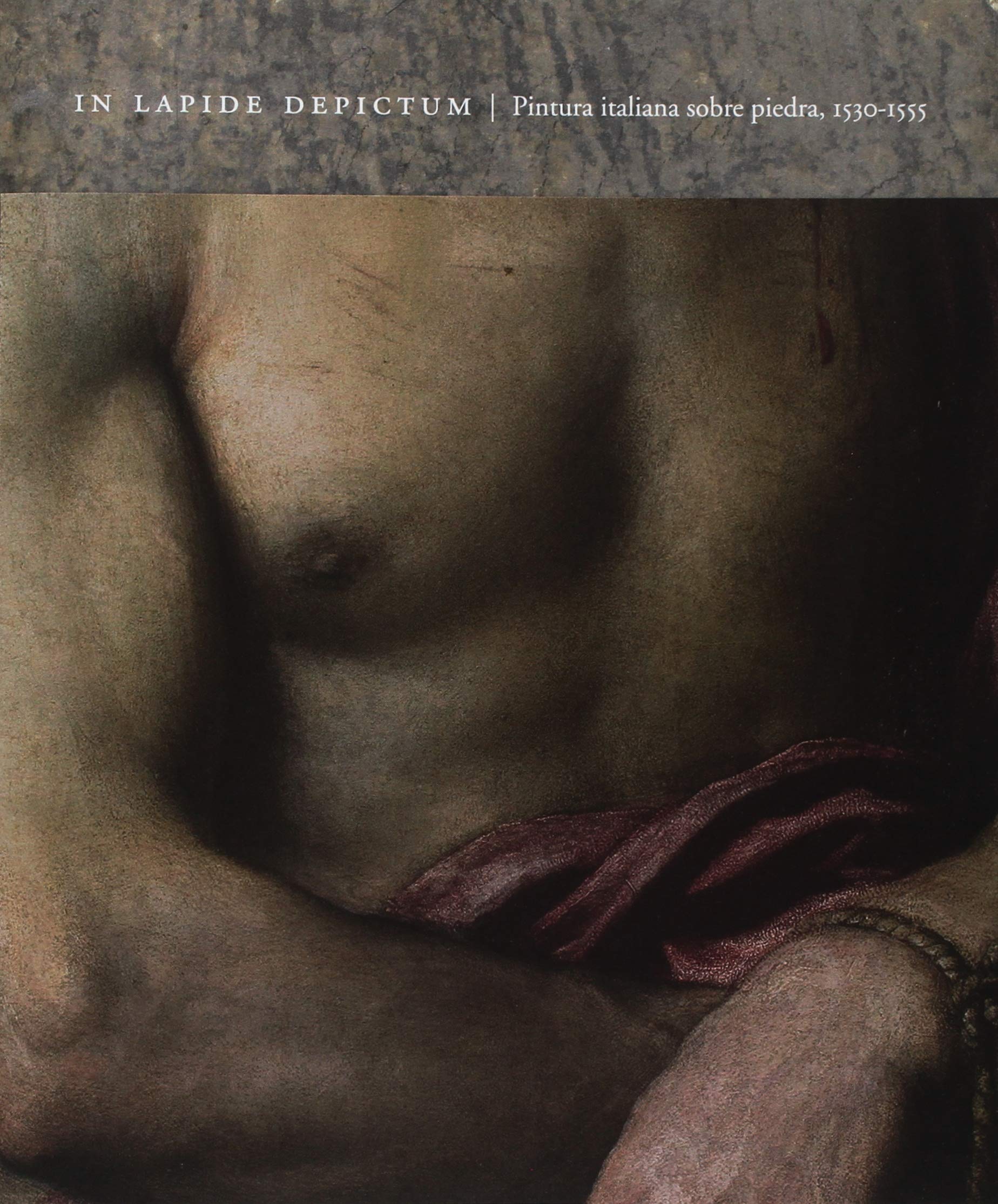 IN LAPIDE DEPICTUM. PINTURA ITALIANA SOBRE PIEDRA 1530-1555 (CATÁLOGO EXPOSICIÓN Non-fiction