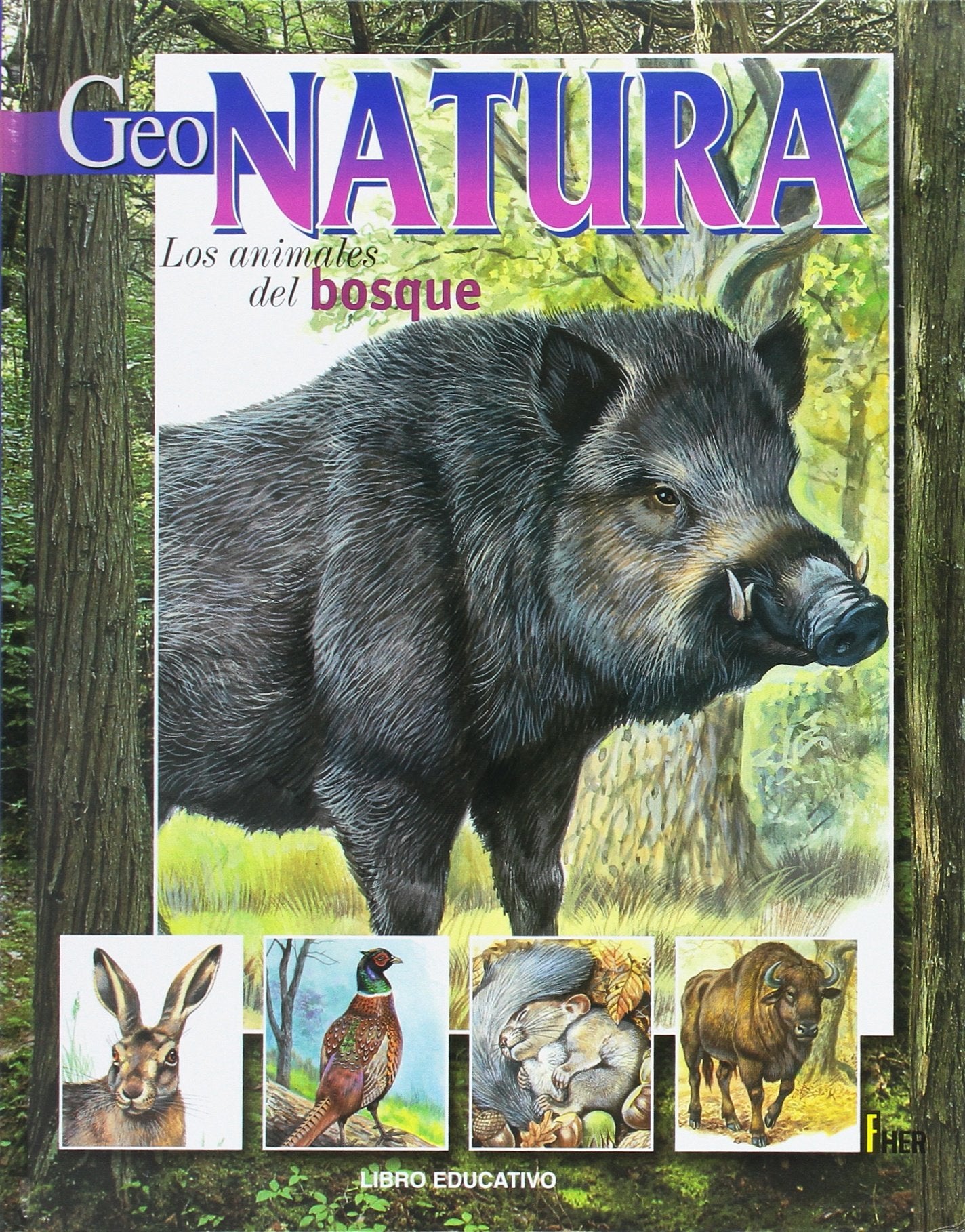 Product Image: Los animales del bosque