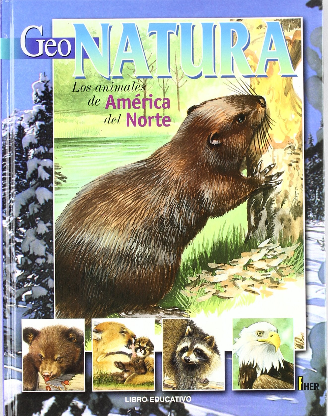 Los animales de América del Norte book