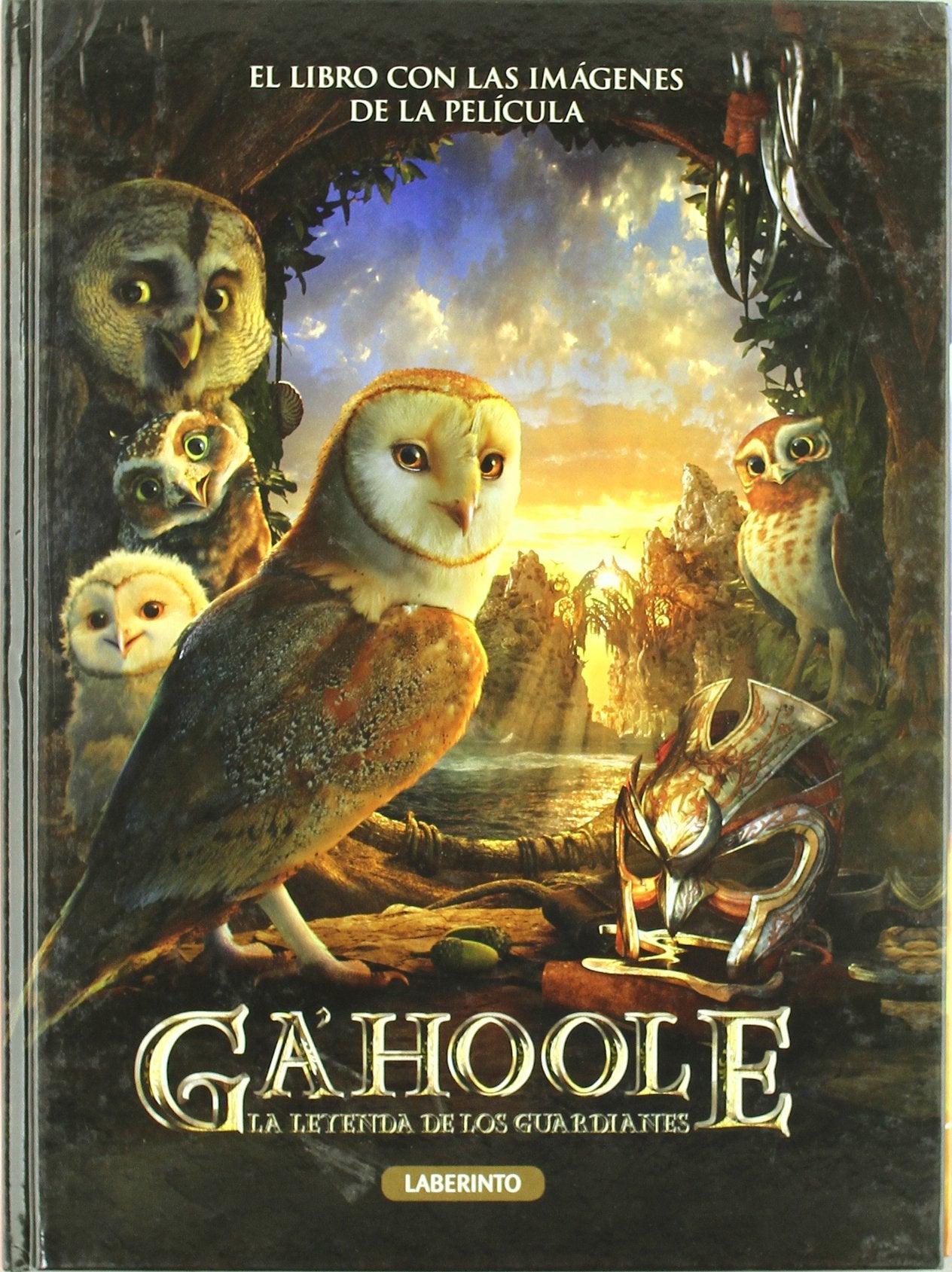 Ga`Hoole: La leyenda de los Guardianes book