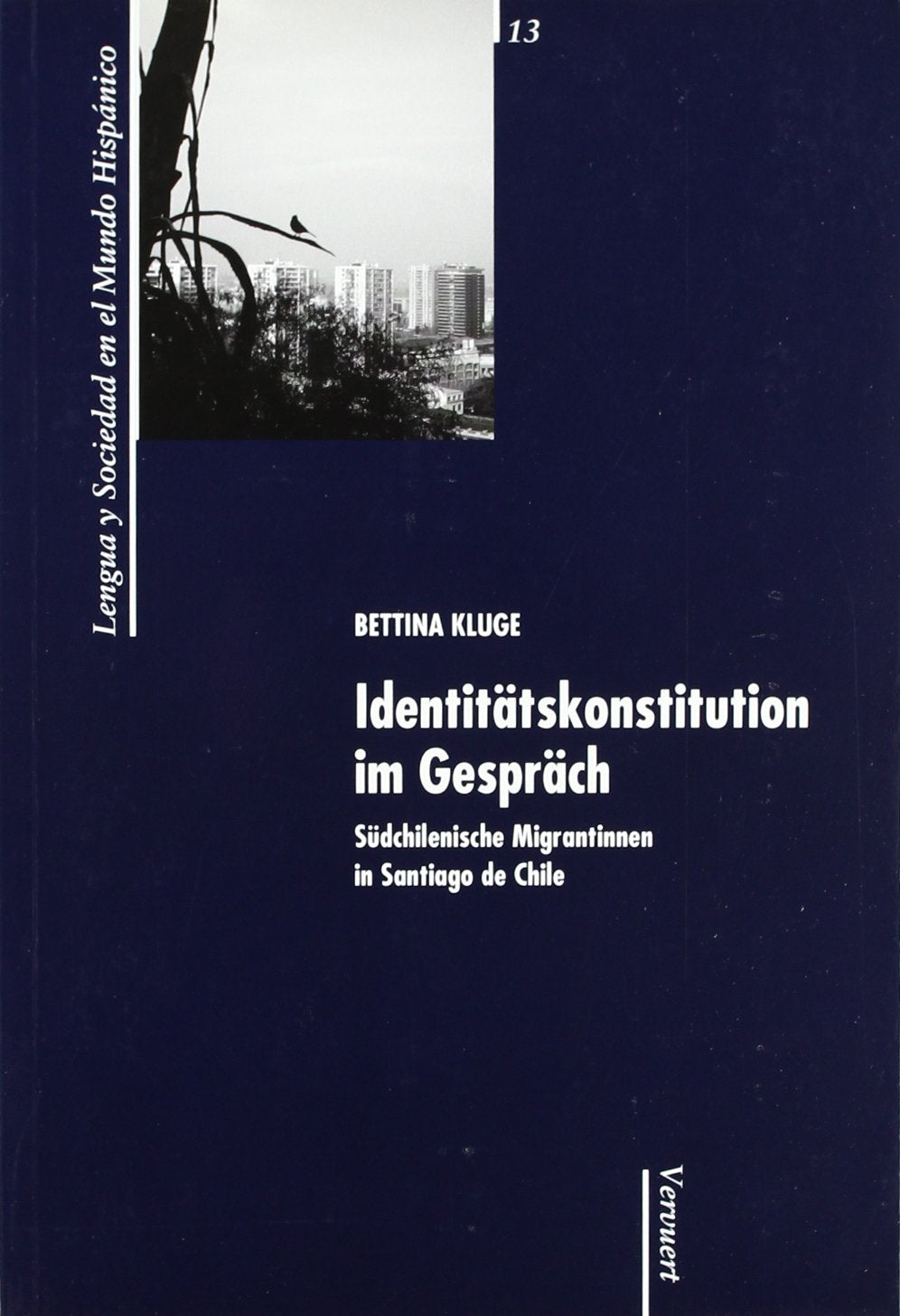 Identitätskonstitution im gespräch: südchilenische migrantinnen in Santiago de Chile book