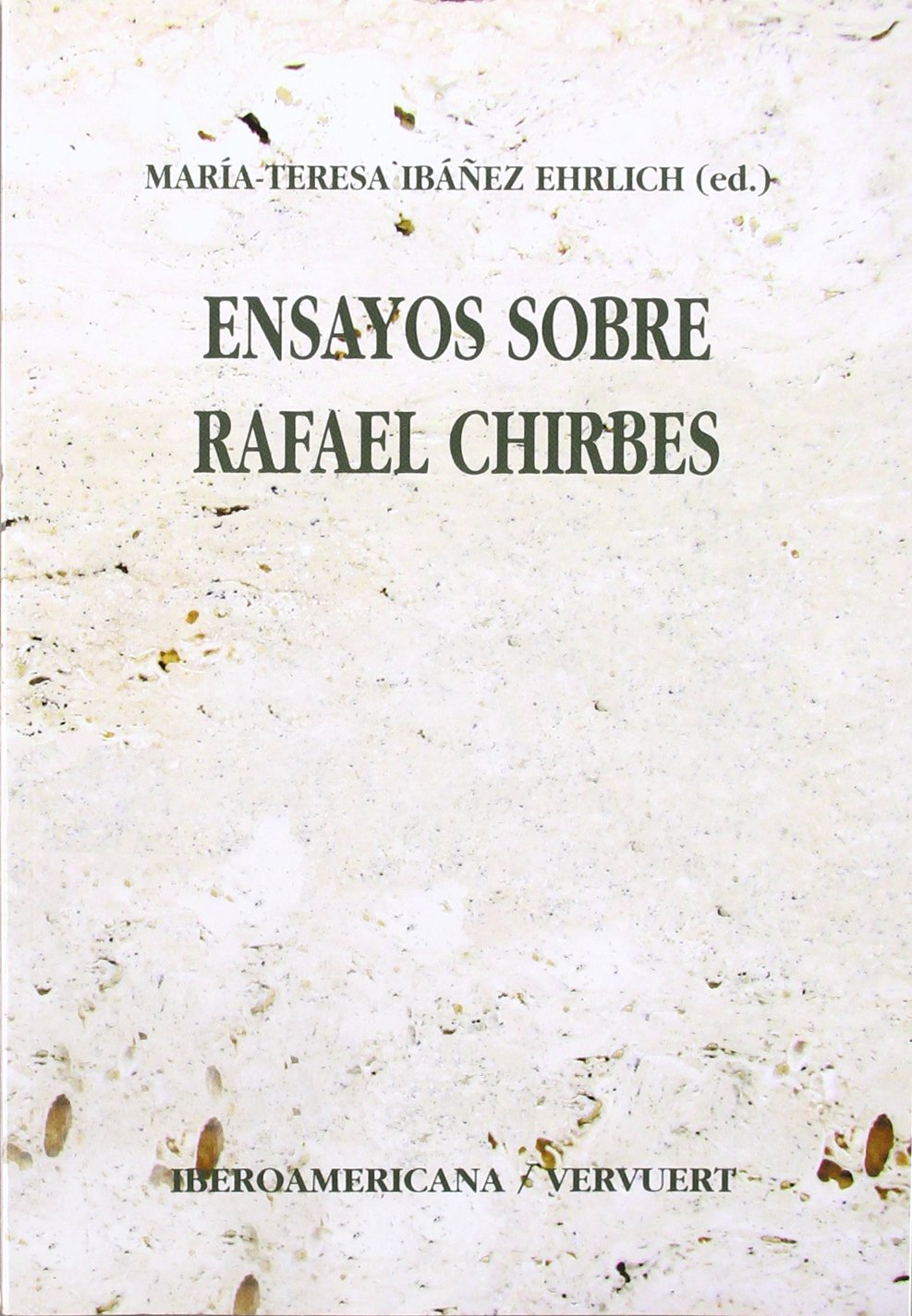 Ensayos sobre Rafael Chirbes book