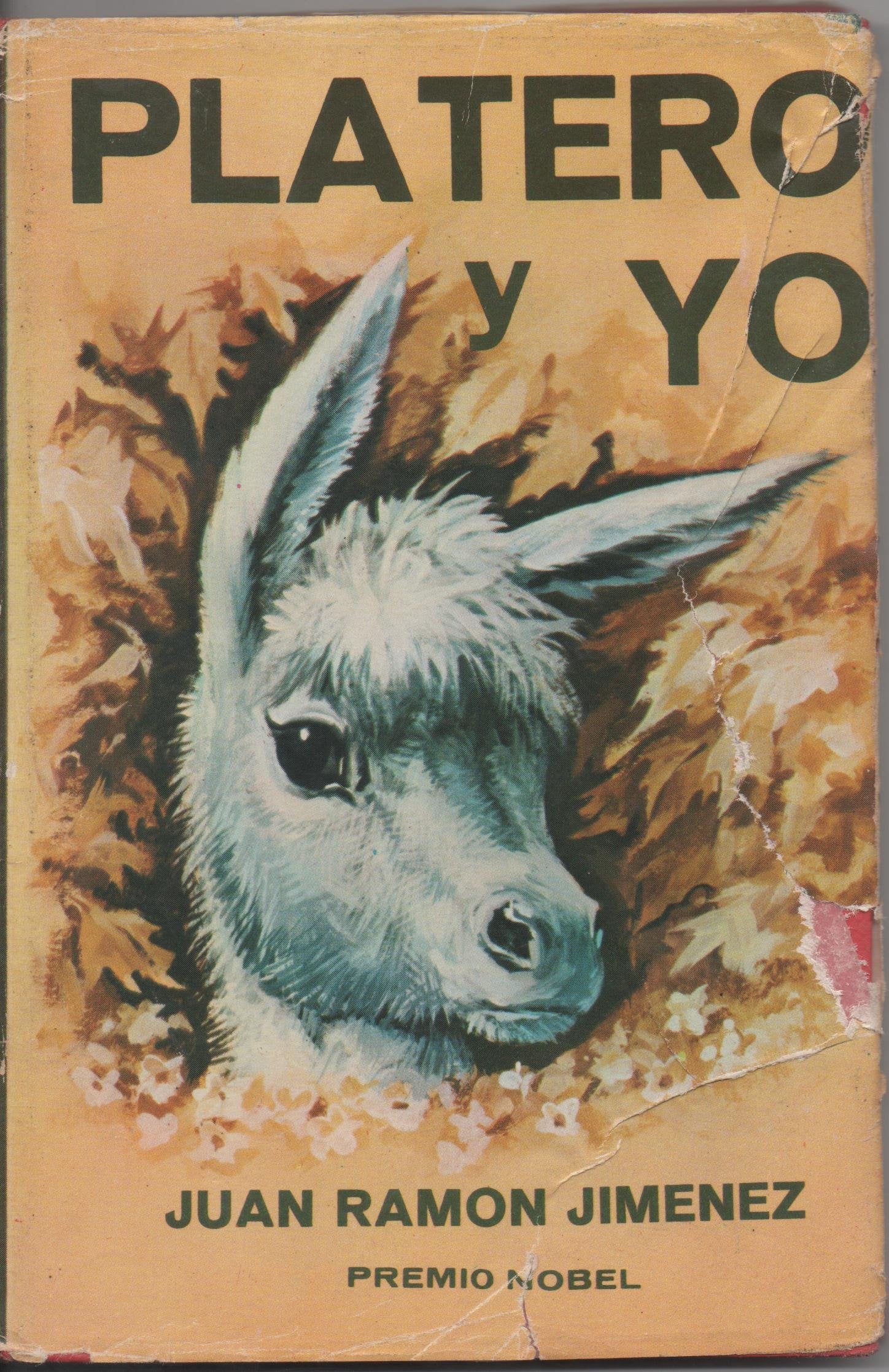 Platero y Yo (Letras españolas, Band 3) Books