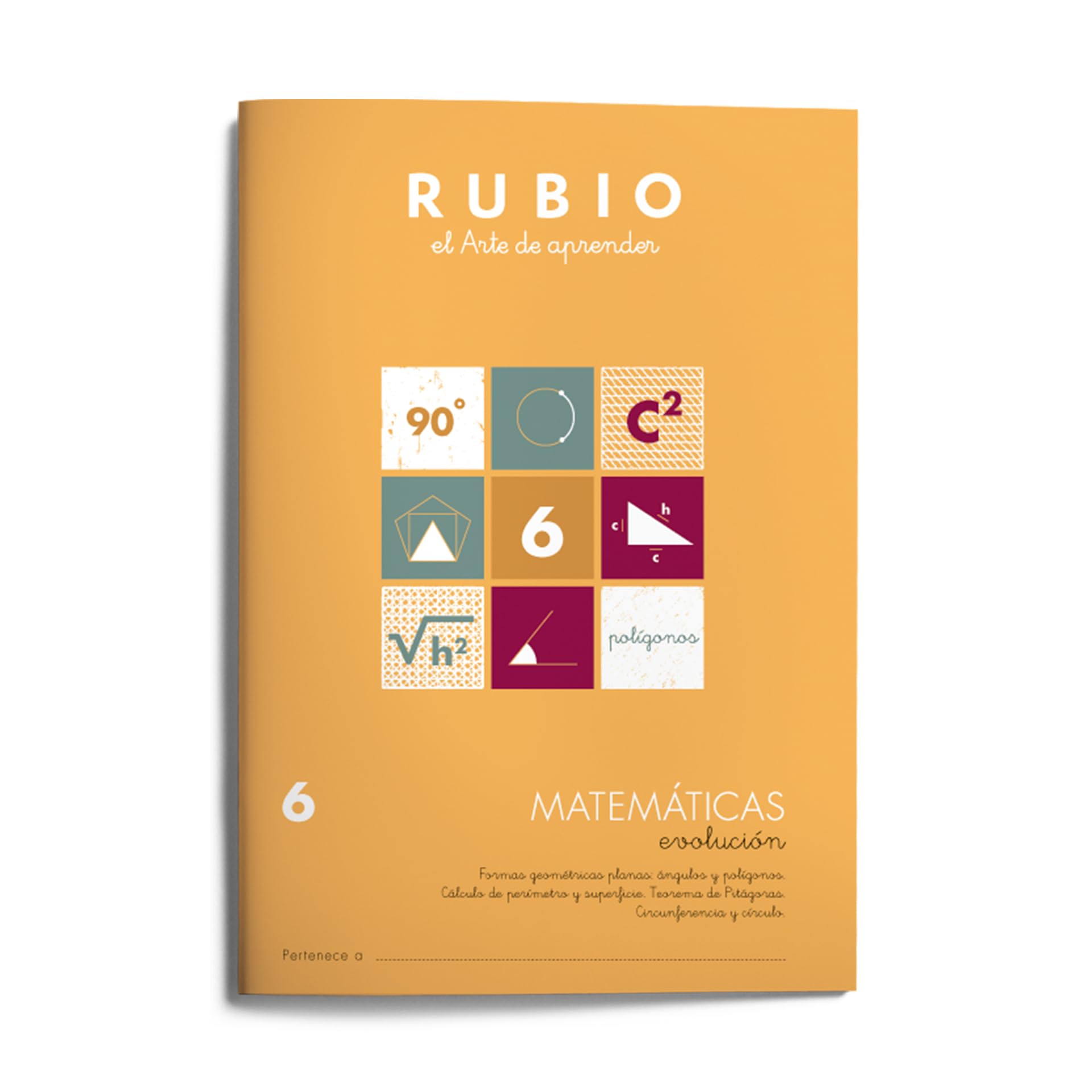 Matemáticas evolución RUBIO 6 Professional & Reference Books