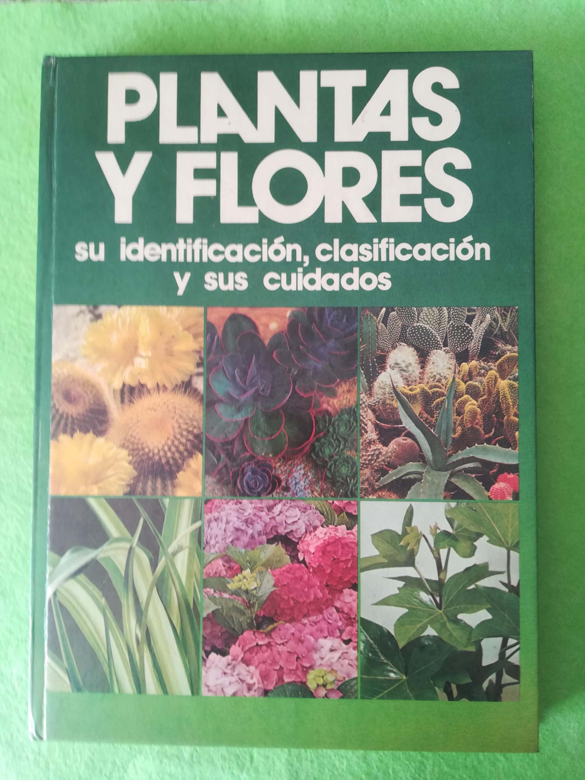 PLANTAS y Flores : su indentificaci¾n, clasificaci¾n y sus cuidados / Rvdo. Padre Vicente Mundina Ba book