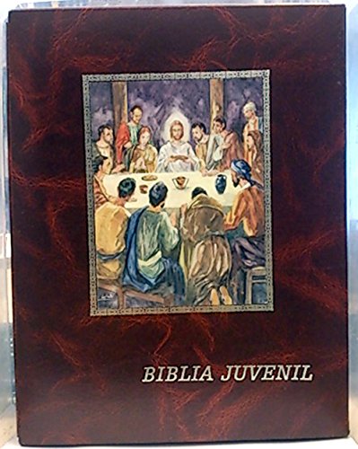 BIBLIA JUVENIL. 2 TOMOS - MARMOL CROMO book