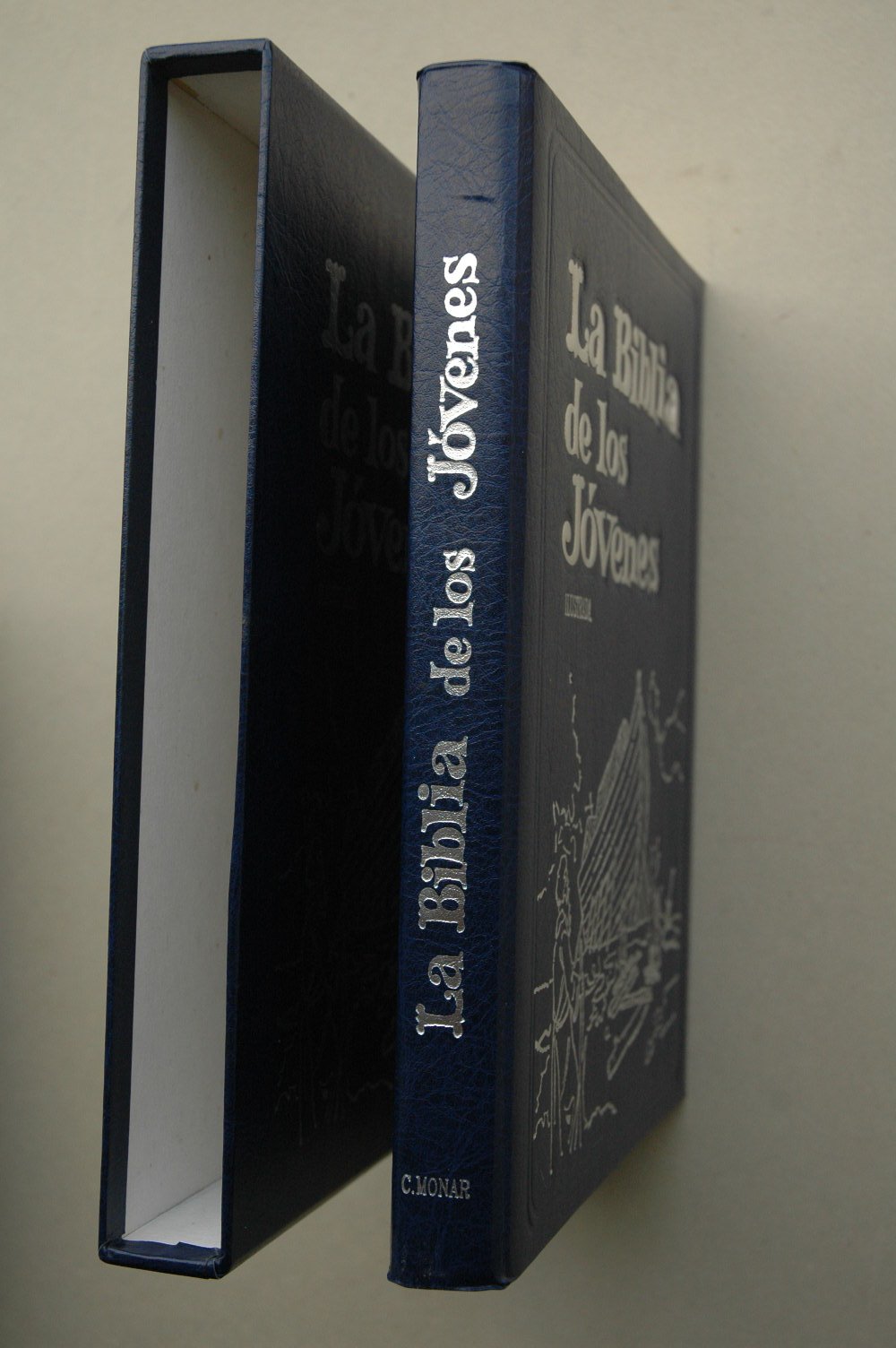 BIBLIA DE LOS JOVENES, LA - ILUSTRADA - MARMOL Books