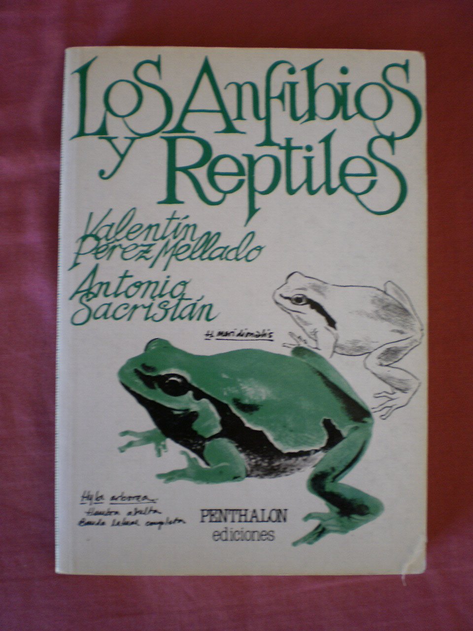 Los Anfibio's Reptiles Books