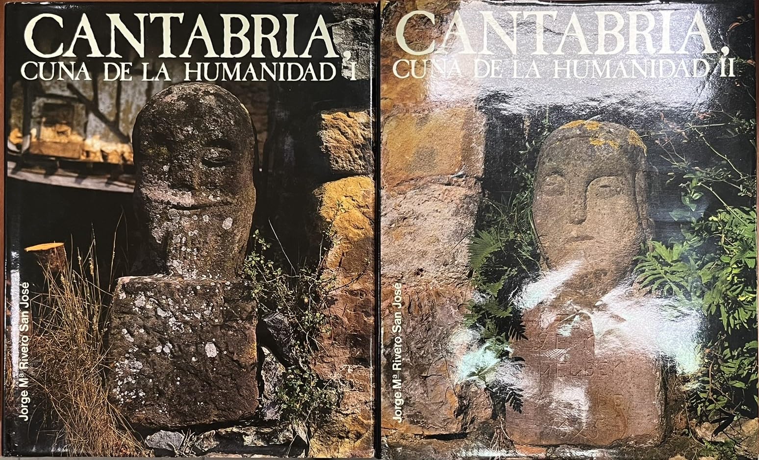 Cantabria, cuna de la humanidad. book