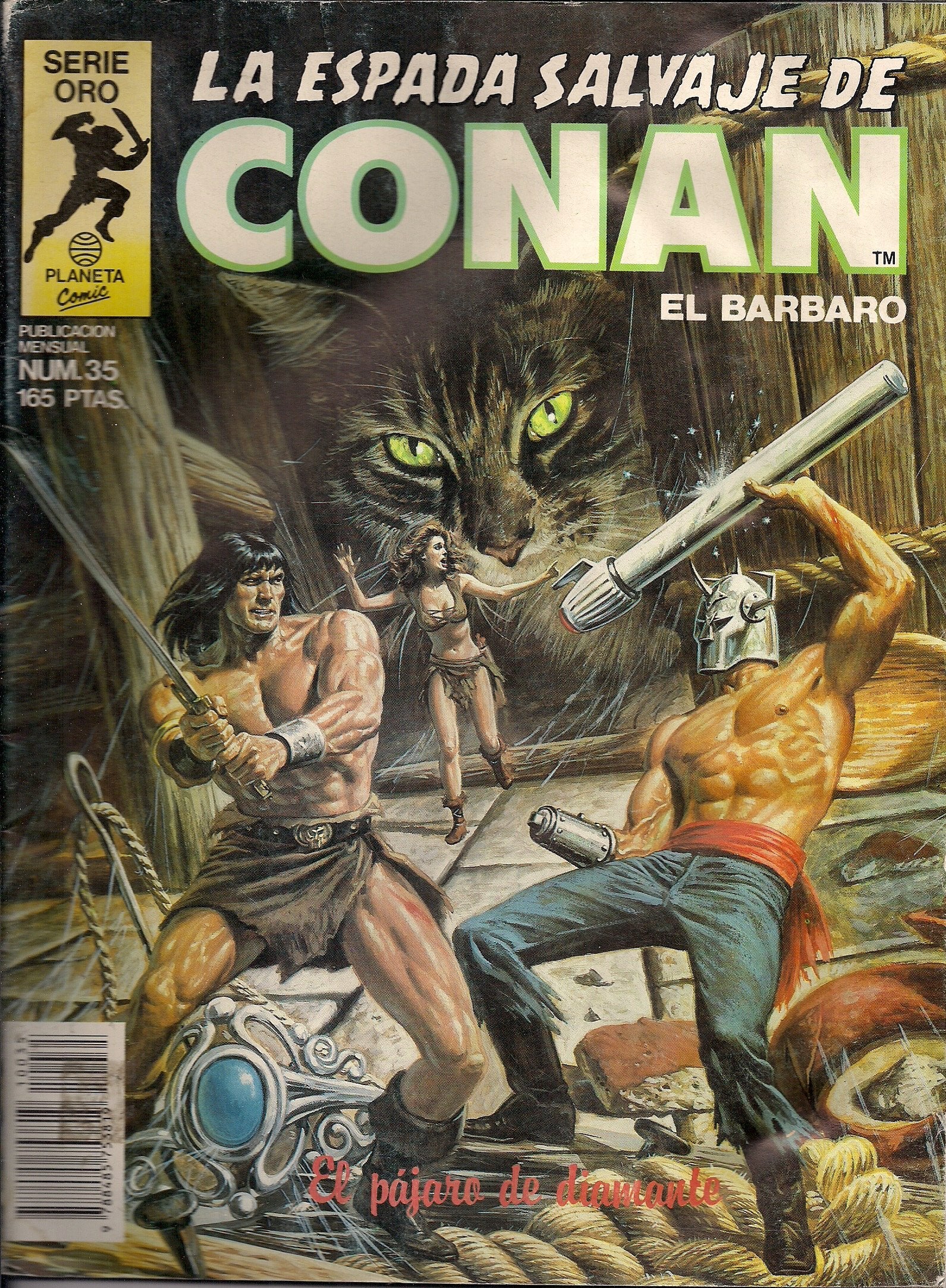 ESPADA SALVAJE DE CONAN EL BARBARO UN ENEMIGO INPLACABLE Y OTRAS MUCHAS AVENTURAS Par VARIOS 16 book
