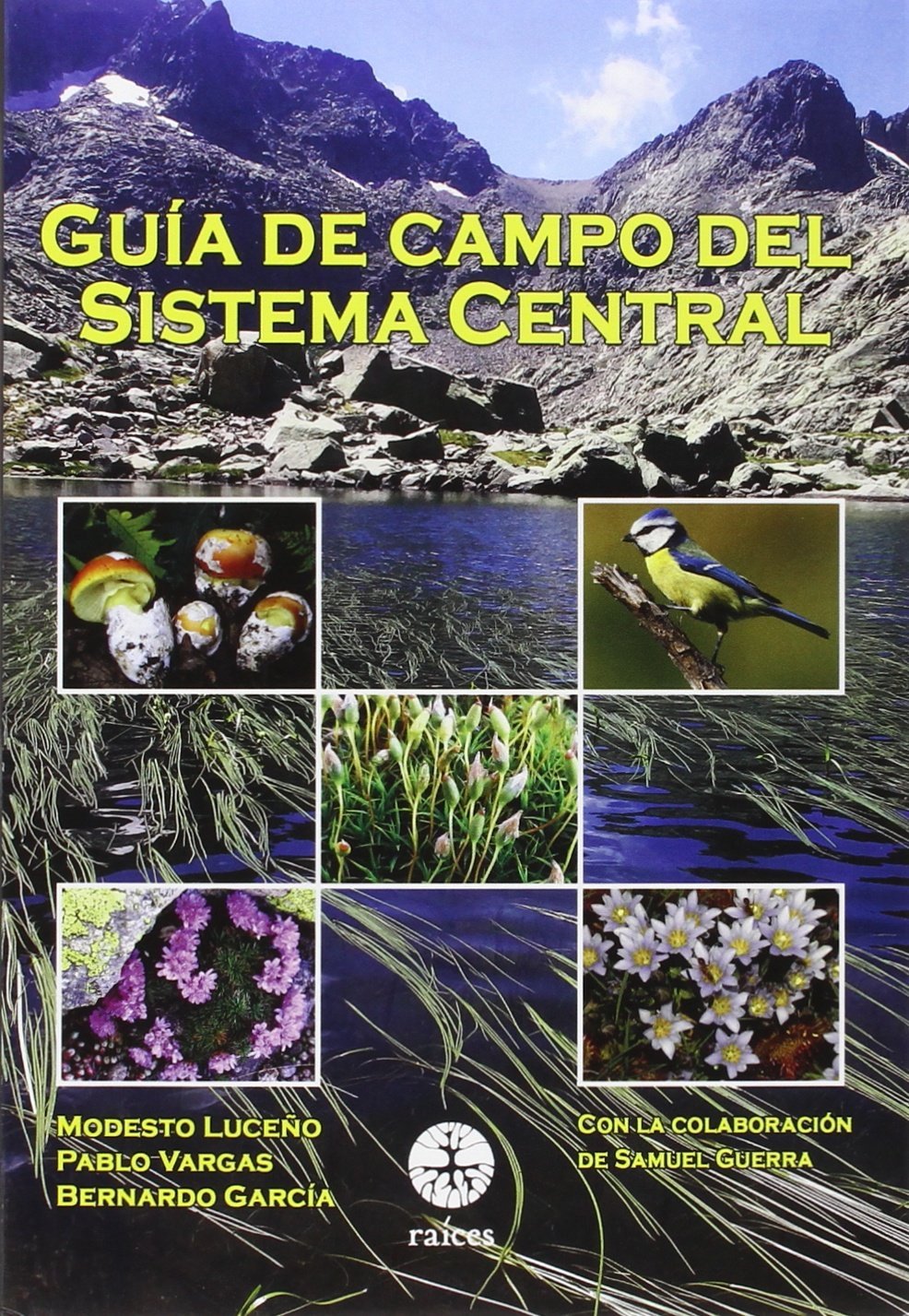 Guía del campo del sistema central Geology & Geography